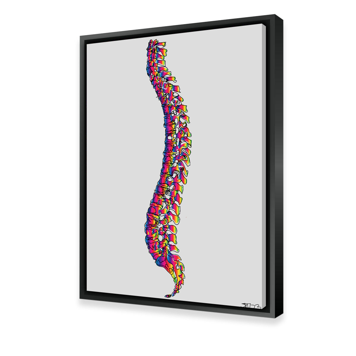 Exquisite Spine Drawing Wall Art for Stunning Interior Decor
