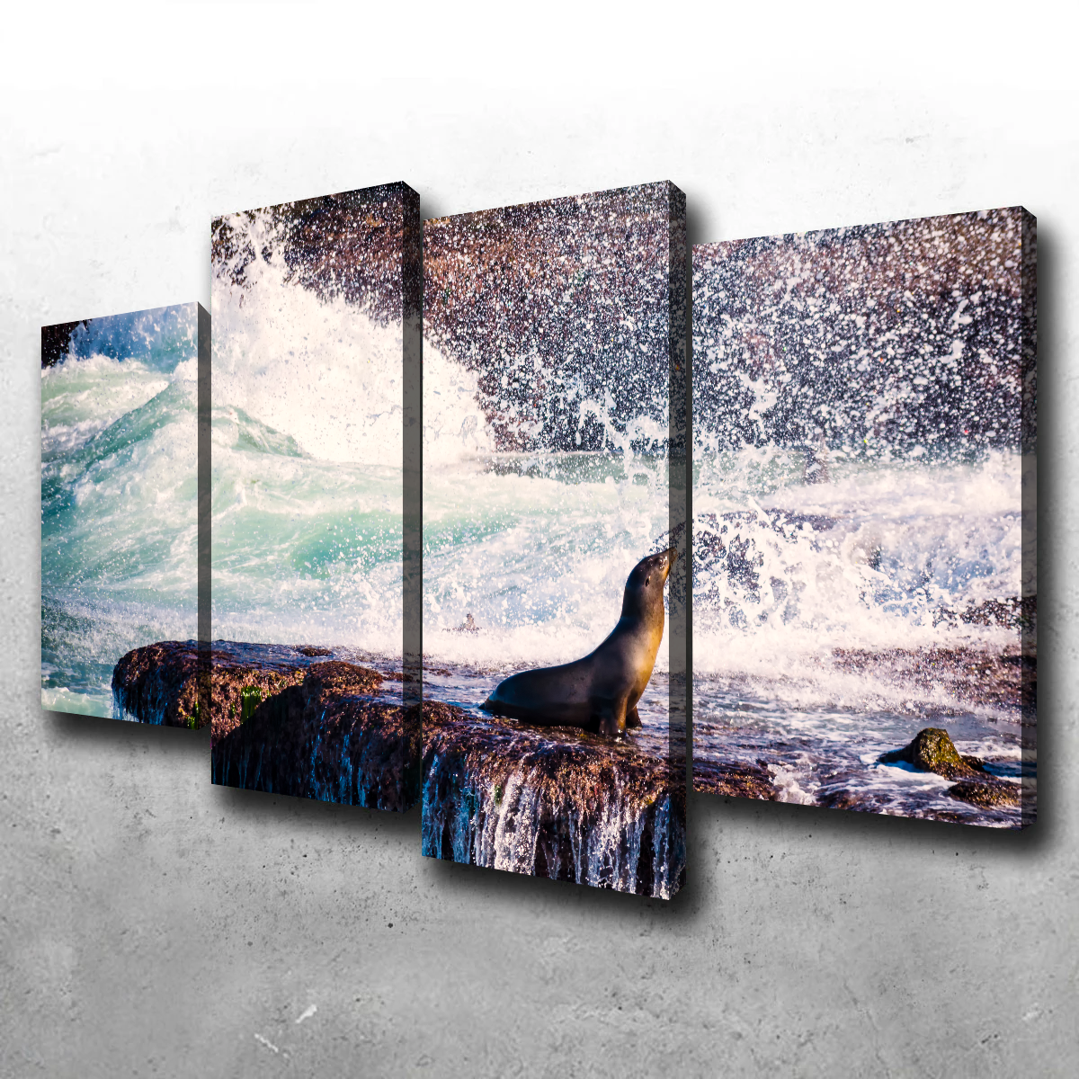 Stunning Sea Lion Surf La Jolla Wall Art for Coastal Home Decor
