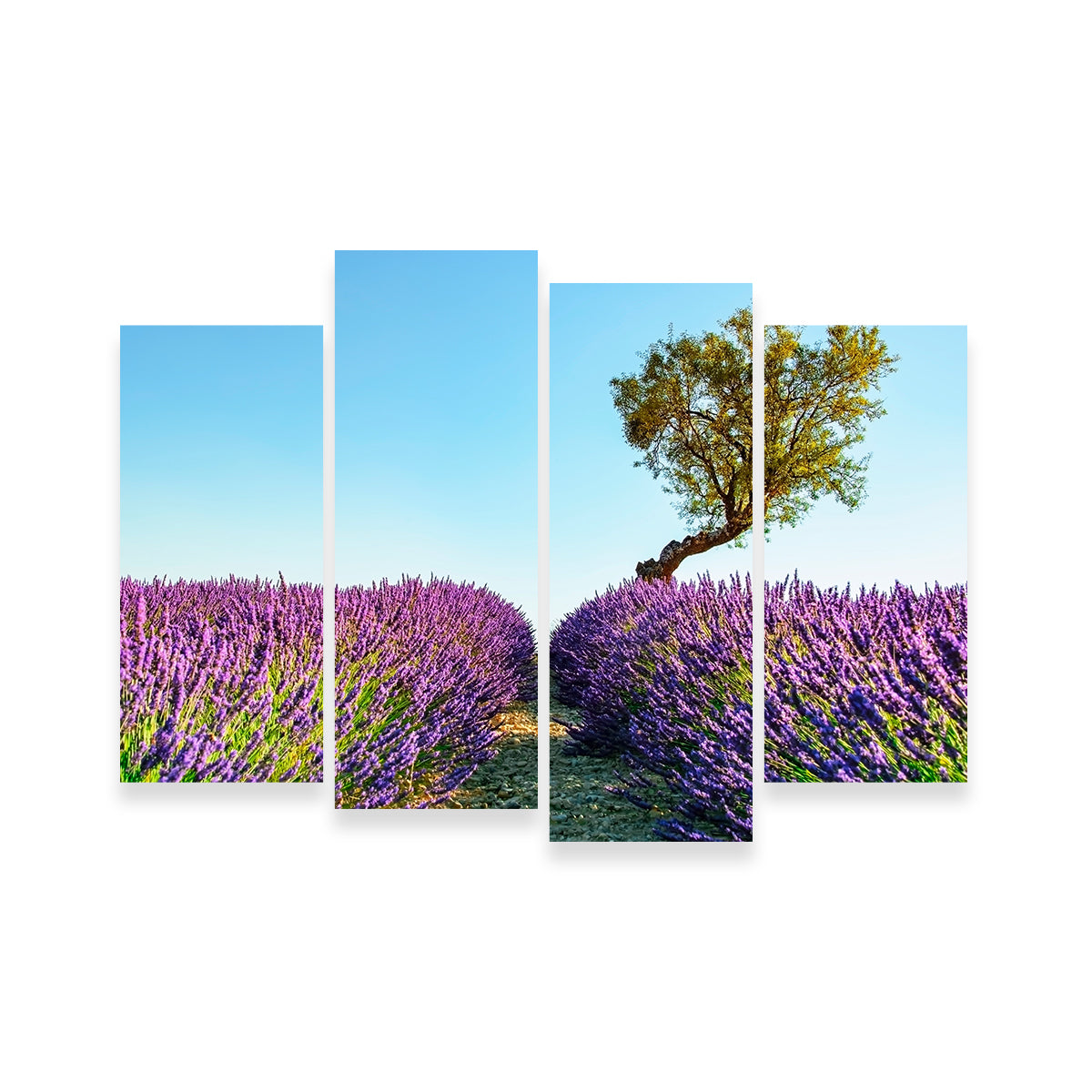 Exquisite Provence Landscape Wall Art for Stunning Home Decor