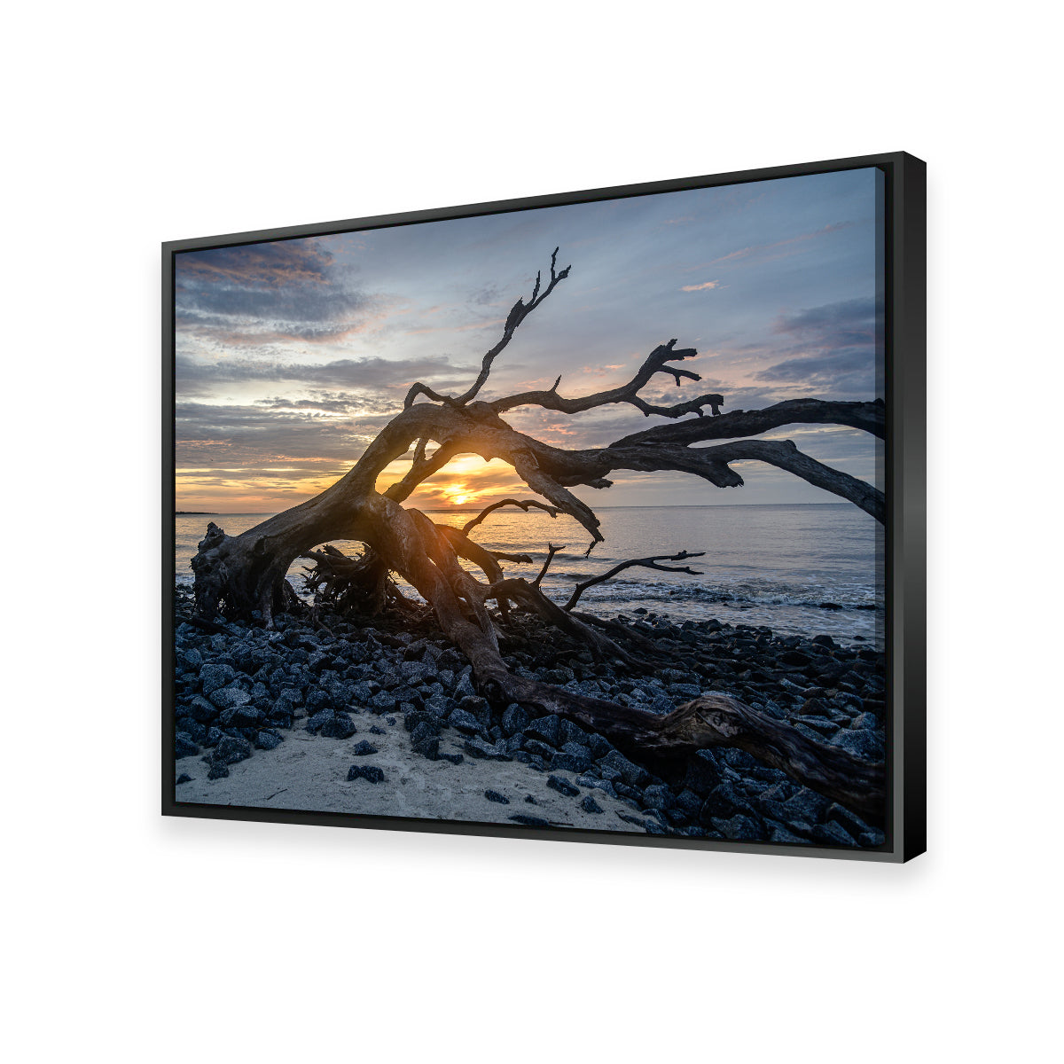 Exquisite Jekyll Island, Georgia Wall Art by Barry Pack