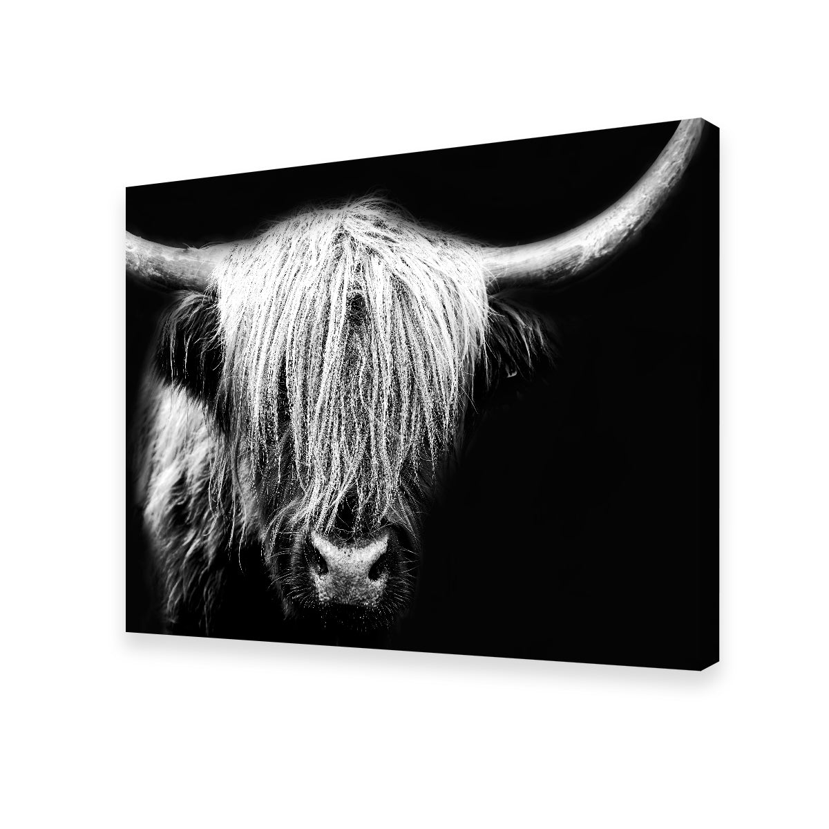 Stunning Grayscale Highland Cow Wall Art for Your Home Decor