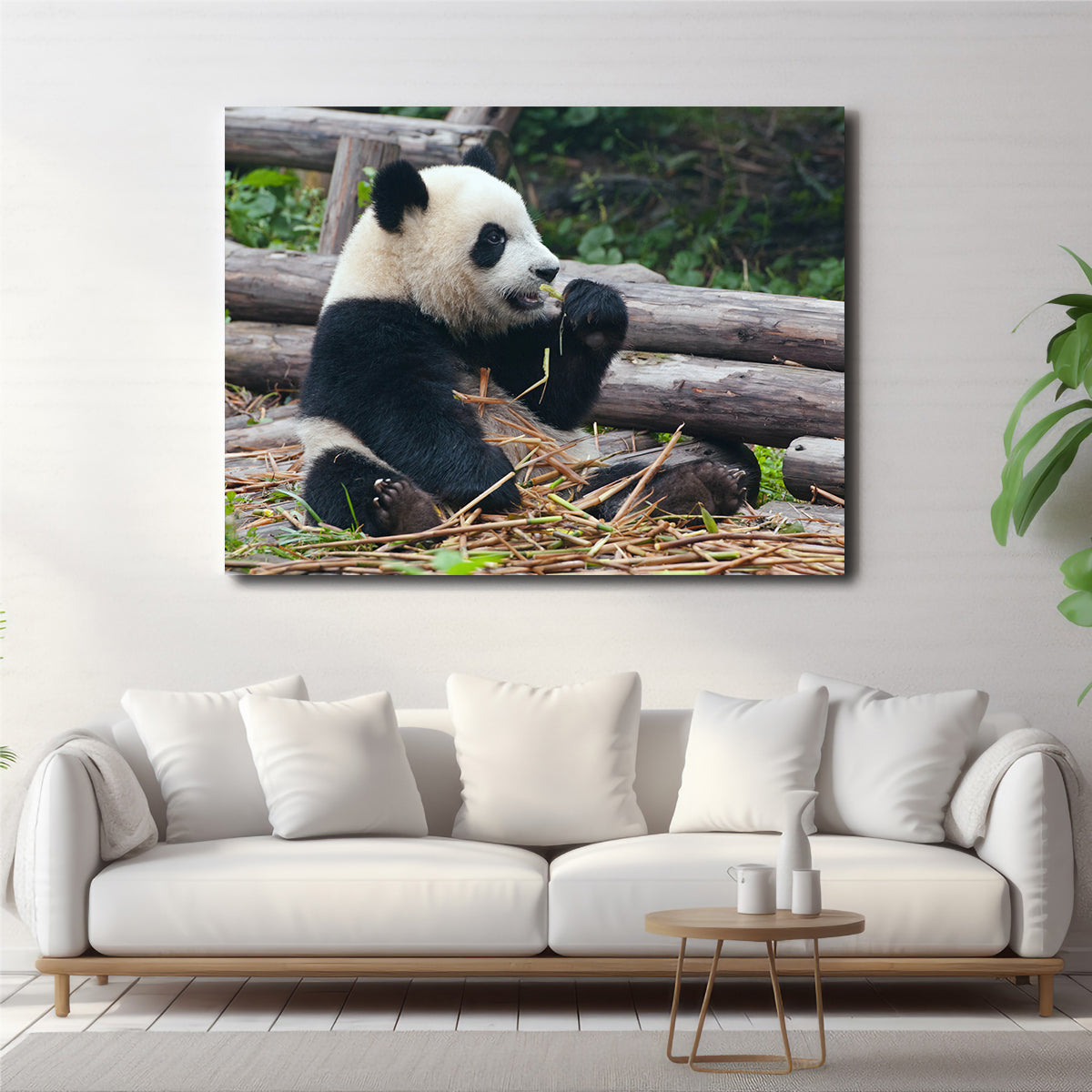 Adorable Panda Bear Eating Bamboo Wall Art for Home Decor