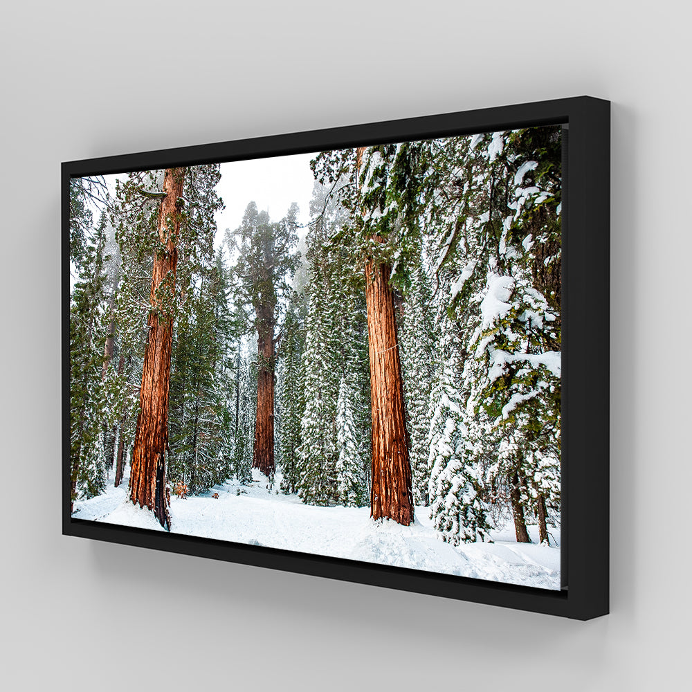 Kyle Sherry's Exquisite General Panoramic Wall Art