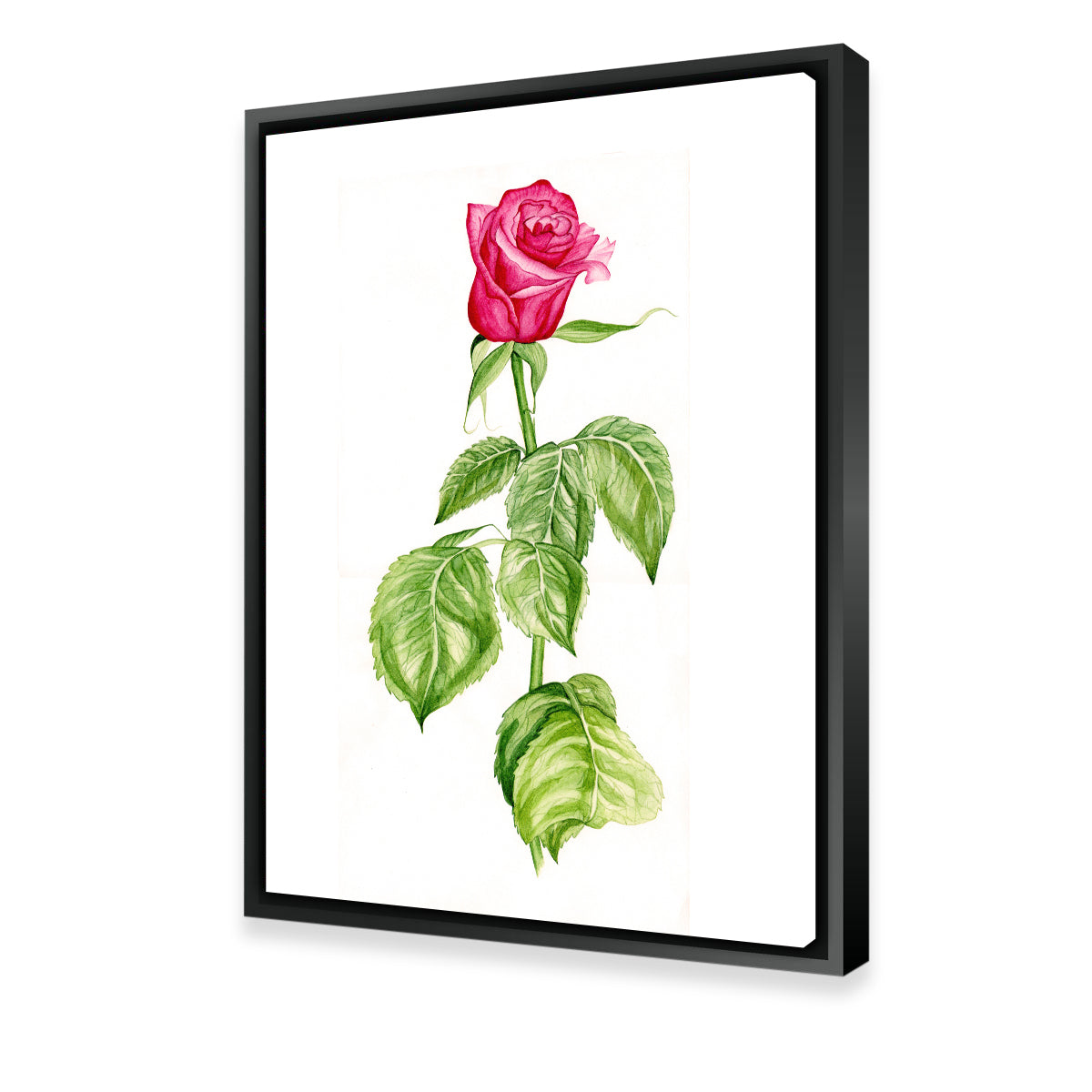 Stunning Red Rose Wall Art for a Captivating Home Decor