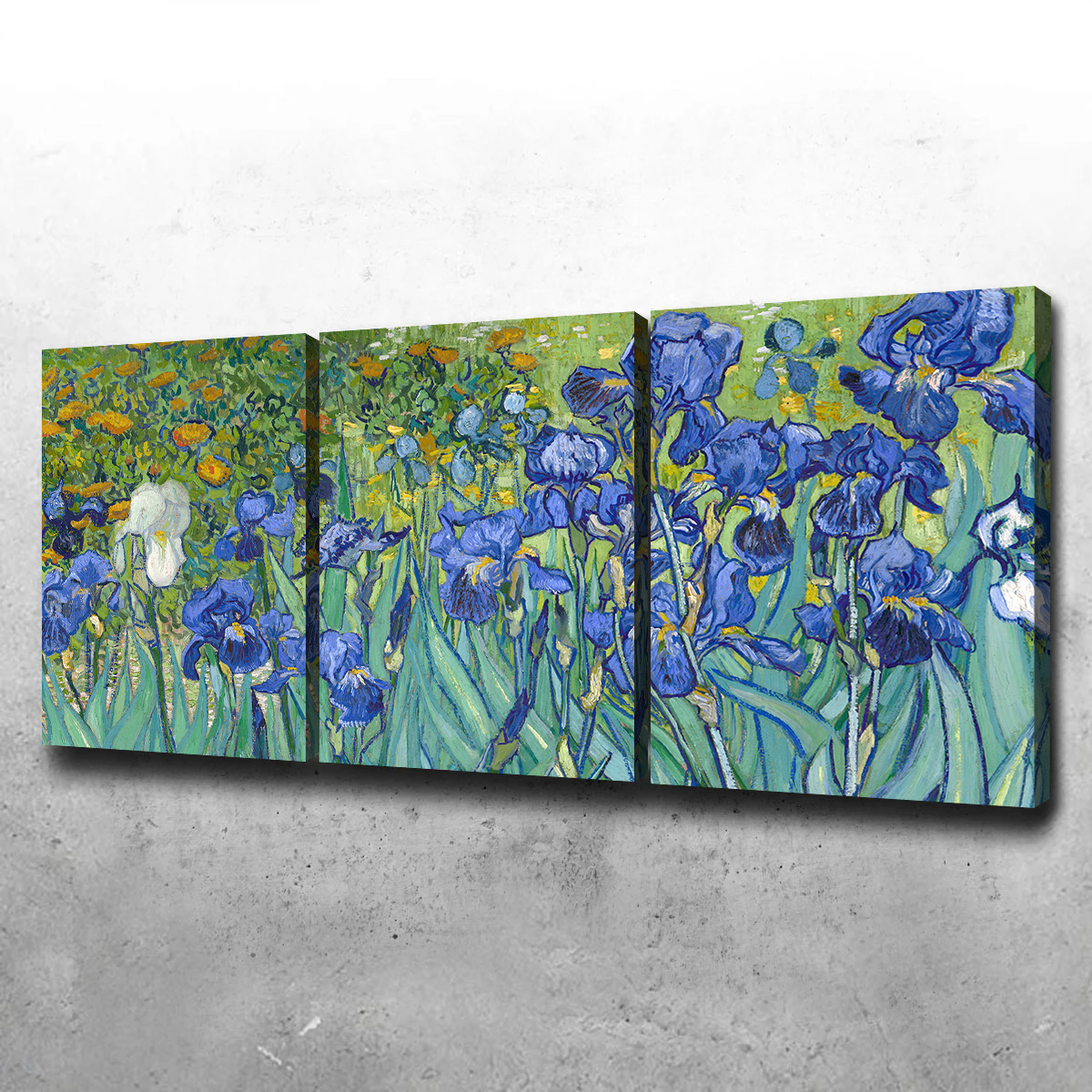 Stunning Irissen Wall Art Inspired by Vincent van Gogh