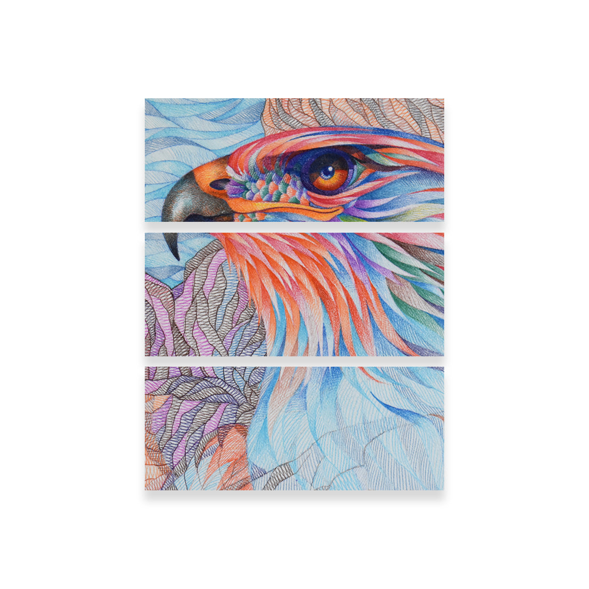 Raptor A Stunning Waiting Wall Art by Gerry Segismundo