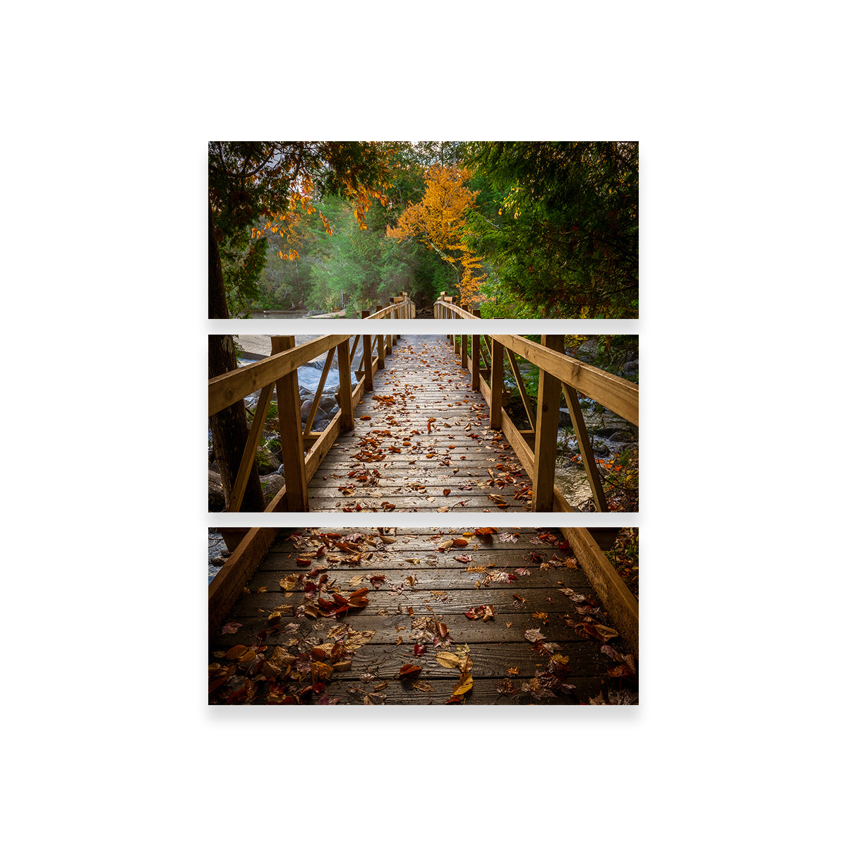 Breathtaking A Walk in the Woods Wall Art by Dennis Maida