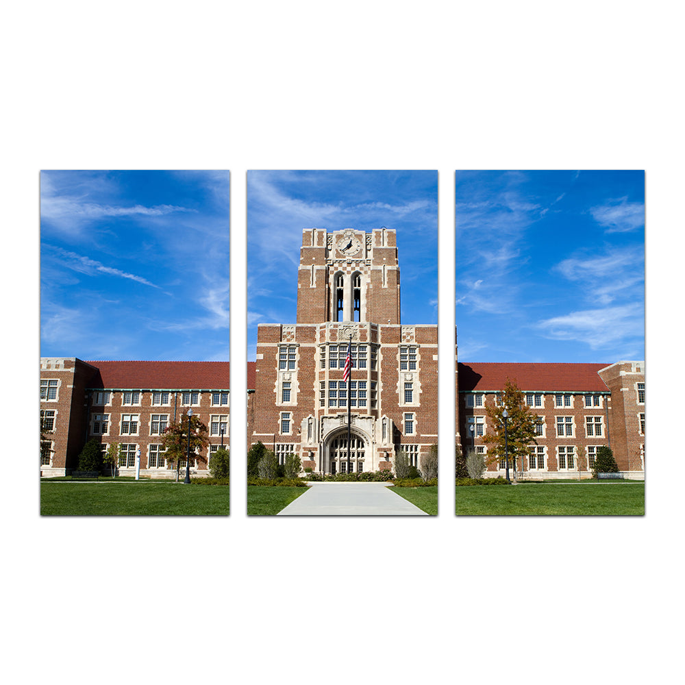 Stunning University of Tennessee Hill Wall Art - Ideal Decor for College Fans