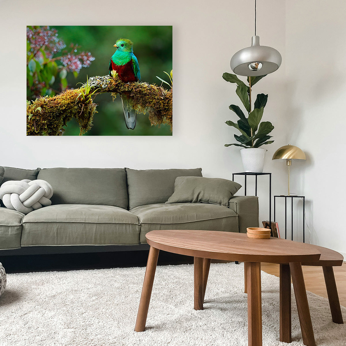 Stunning Resplendent Quetzal Wall Art for a Captivating Home Decor
