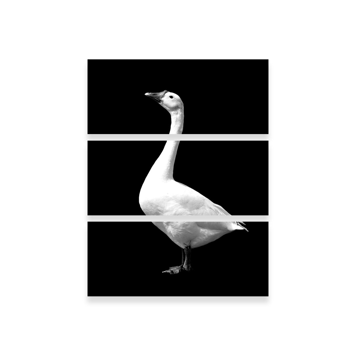 Stunning Goose Wall Art by Lawisi