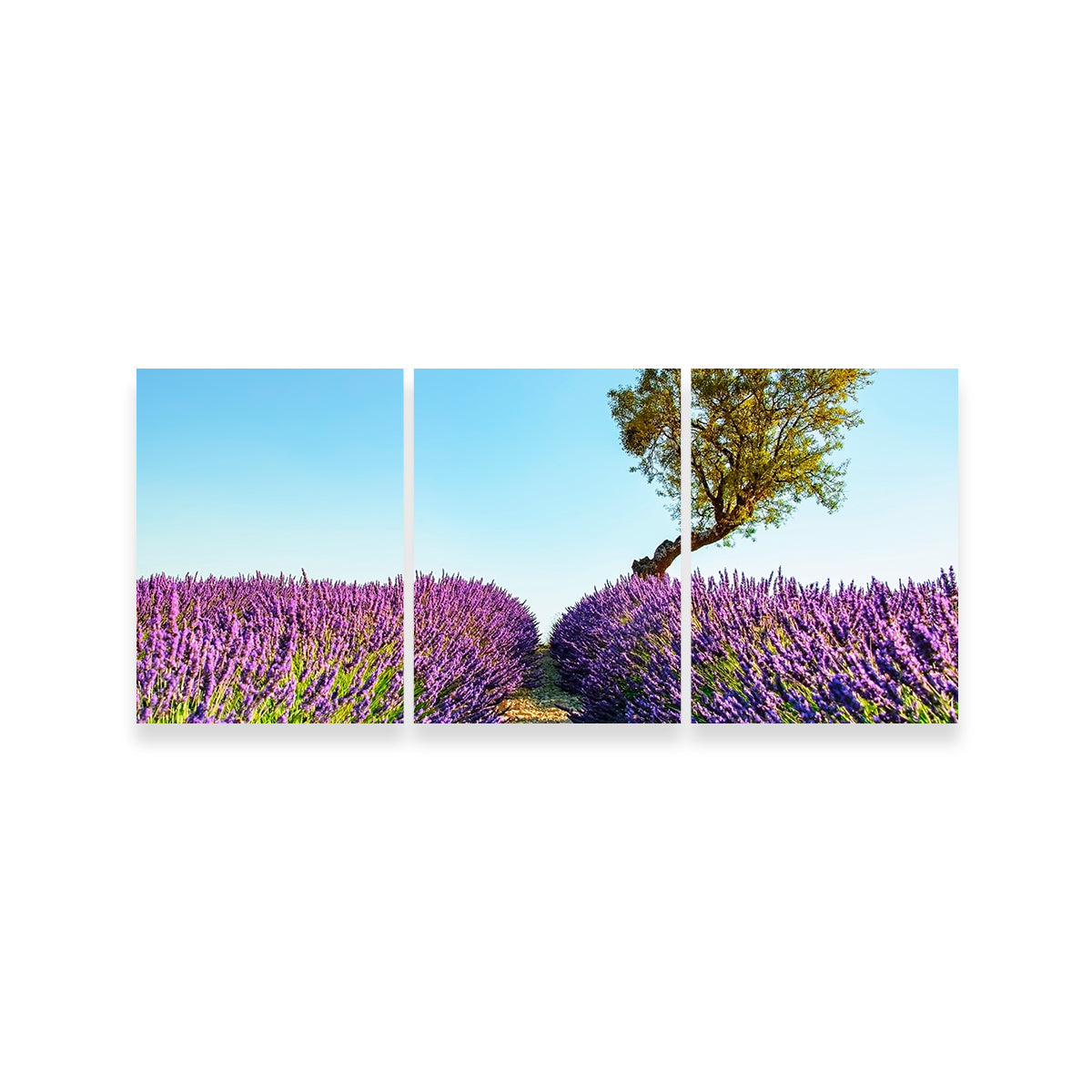 Exquisite Provence Landscape Wall Art for Stunning Home Decor