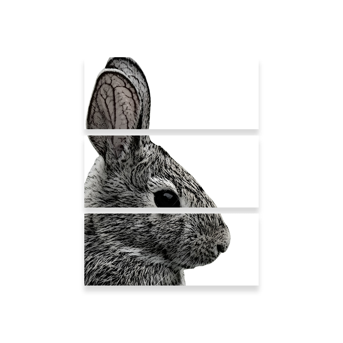 Exquisite Rabbit Sketch Wall Art by Lawisi