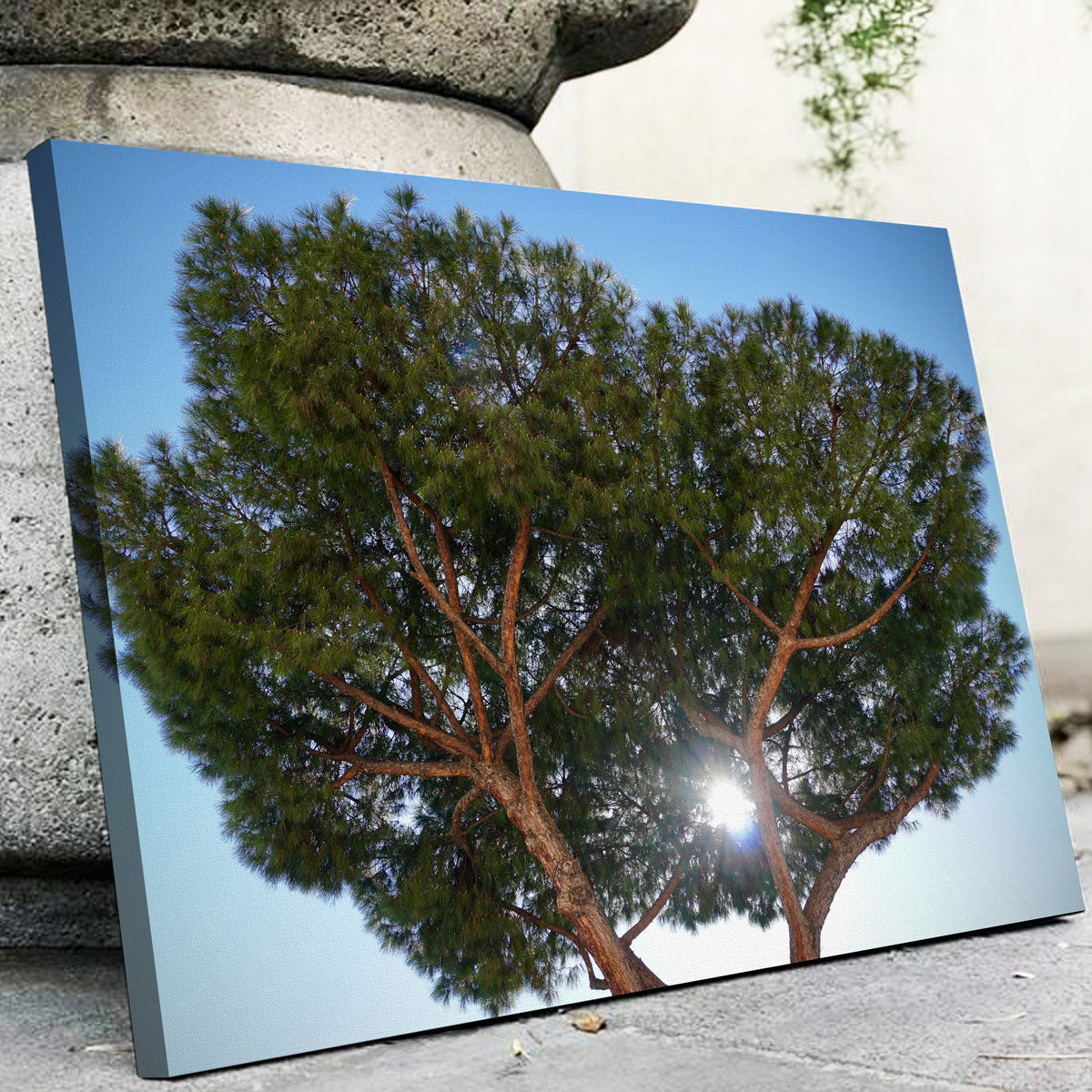 Exquisite Rome, Italy Wall Art by David Campbell