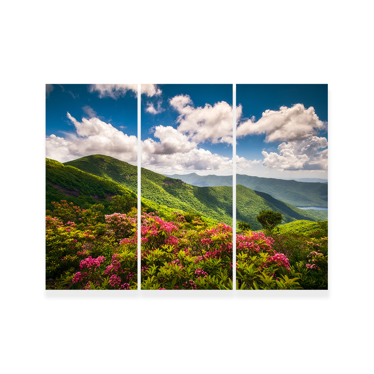 Stunning Blue Ridge Parkway Wall Art for Your Home Decor