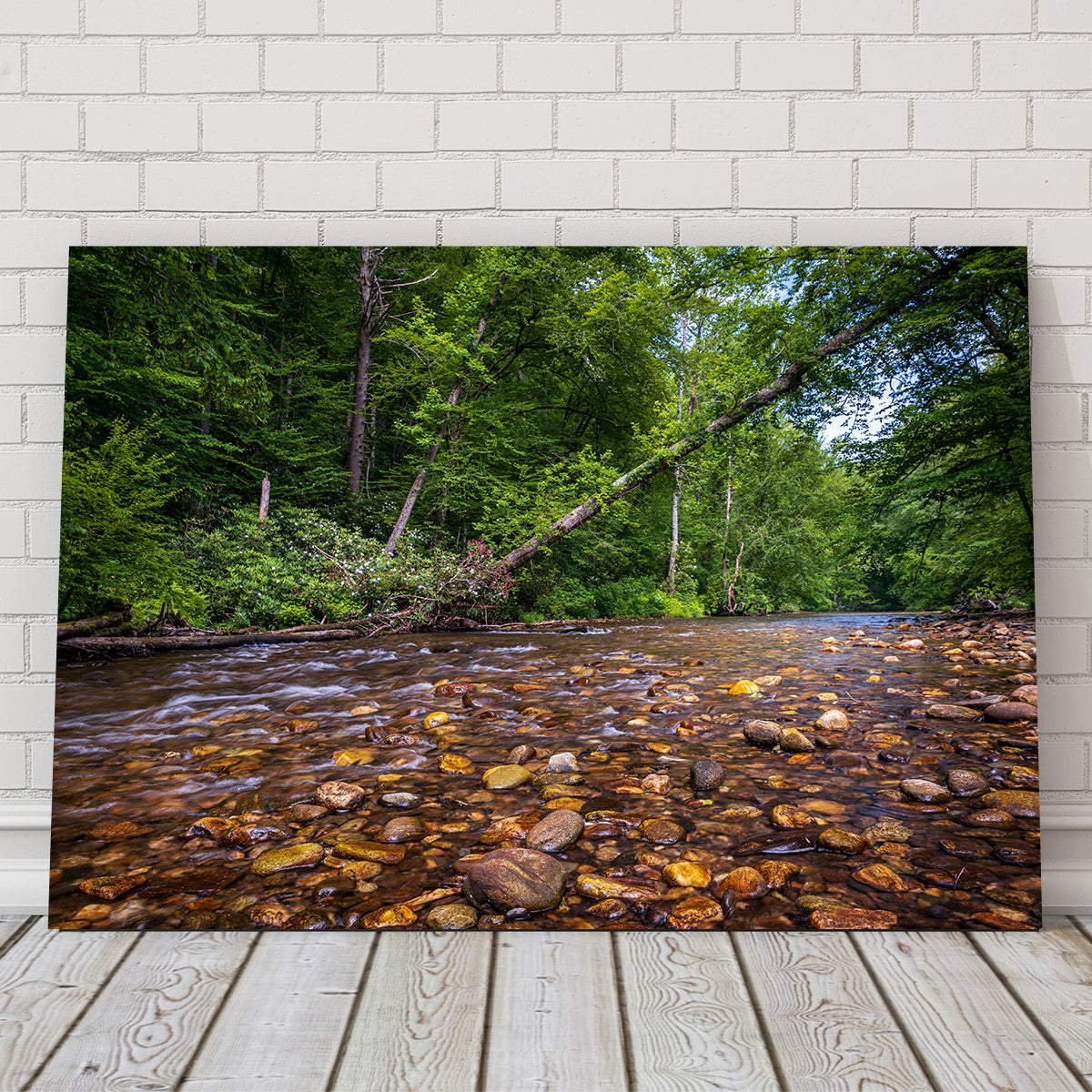 Stunning Blue Ridge Pky NC Wall Art by Barry Pack