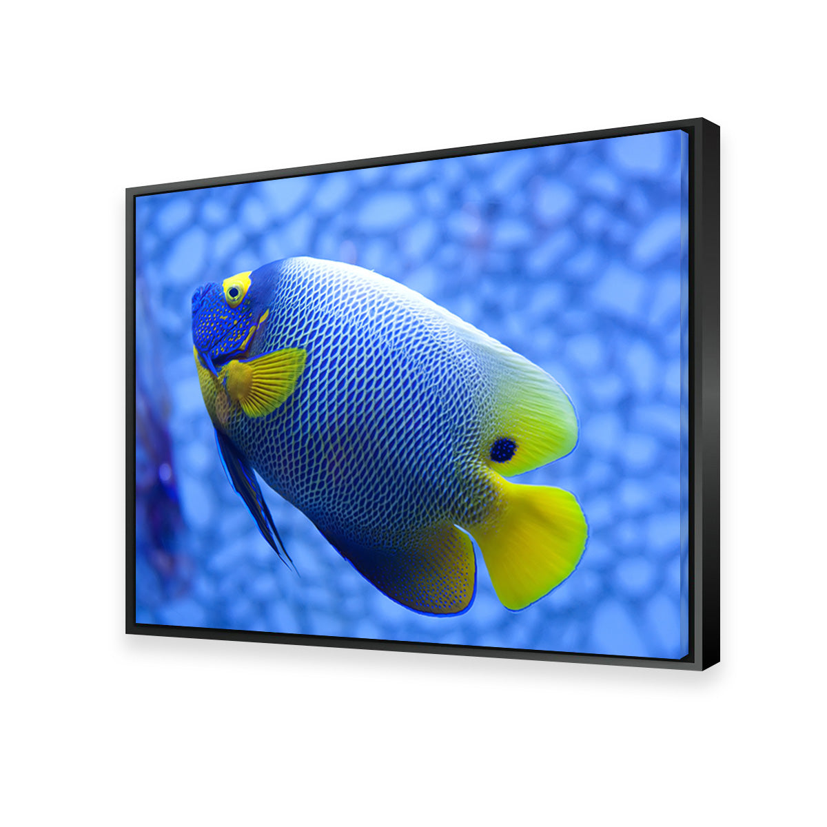 Vibrant Blue and Yellow Tropical Fish Wall Art for Stunning Home Decor