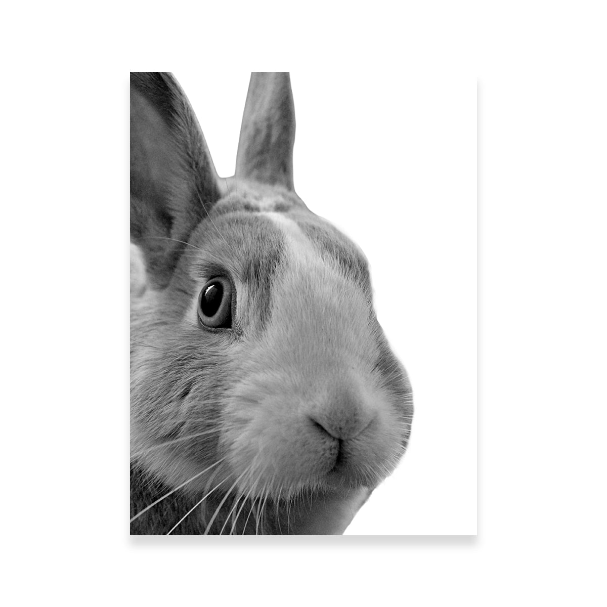 Charming Funny Rabbit Wall Art by Lawisi