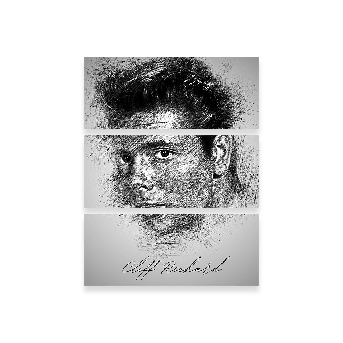Stunning Cliff Richard Wall Art - Museum-Quality Canvas Print