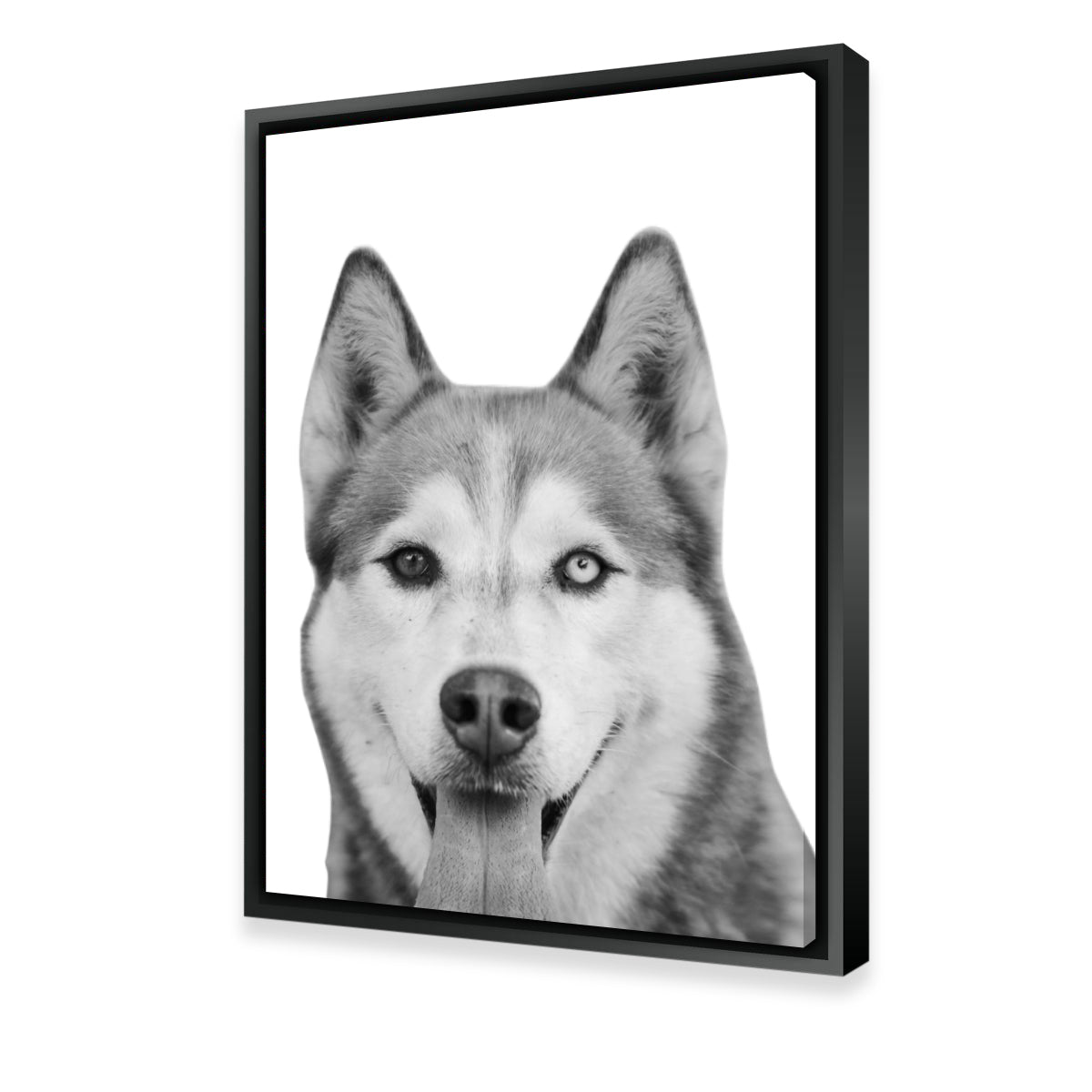 Hilarious Siberian Husky Wall Art for Unique Home Decor