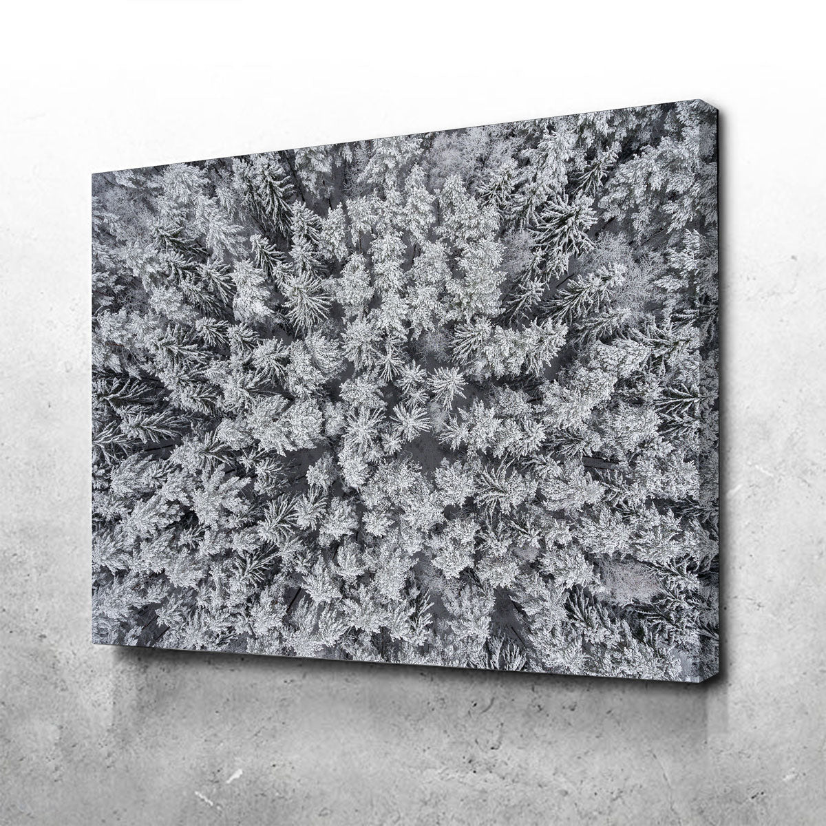 Exquisite Frosted Tips Wall Art by Karolis Janulis