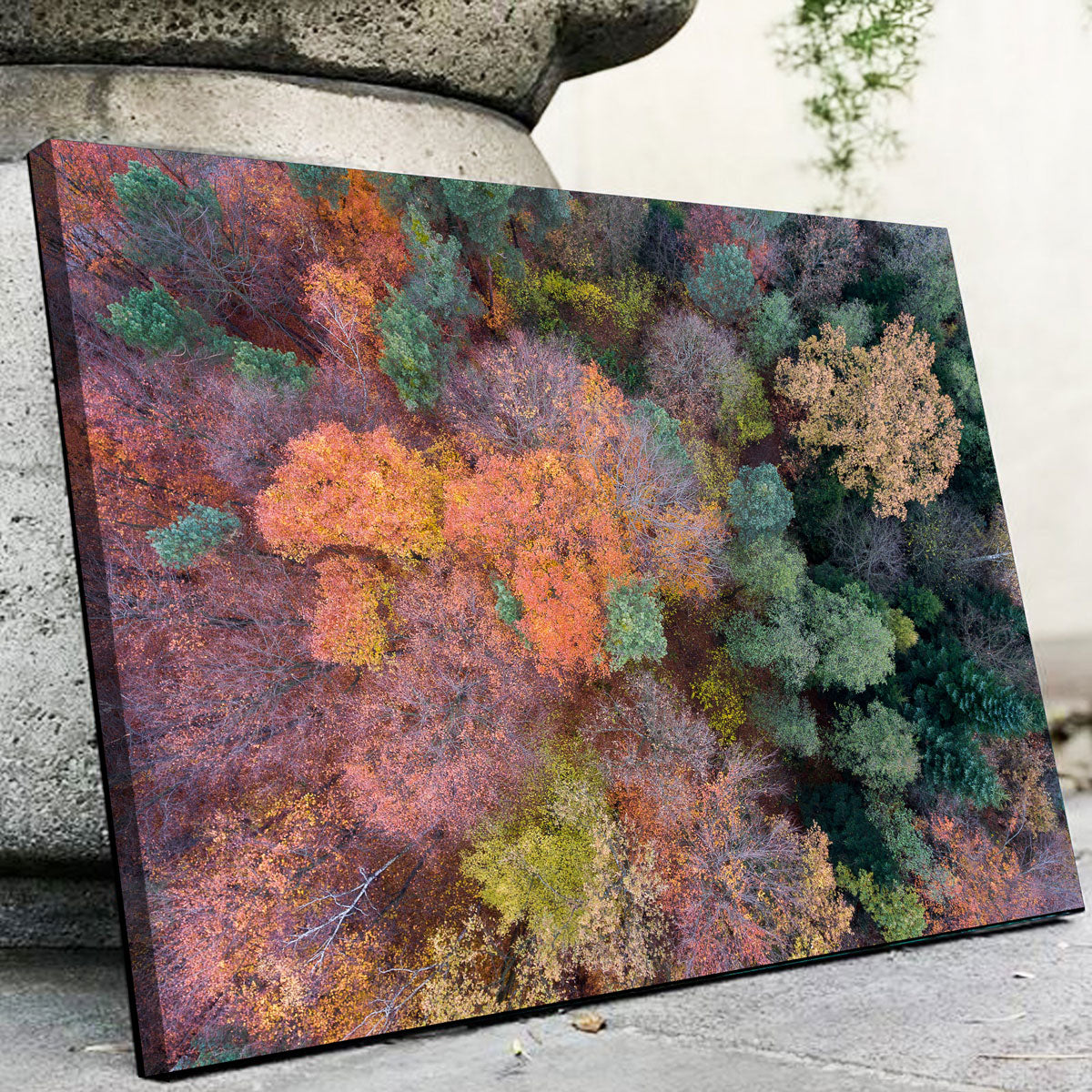 Stunning Orange and Green Wall Art by Karolis Janulis
