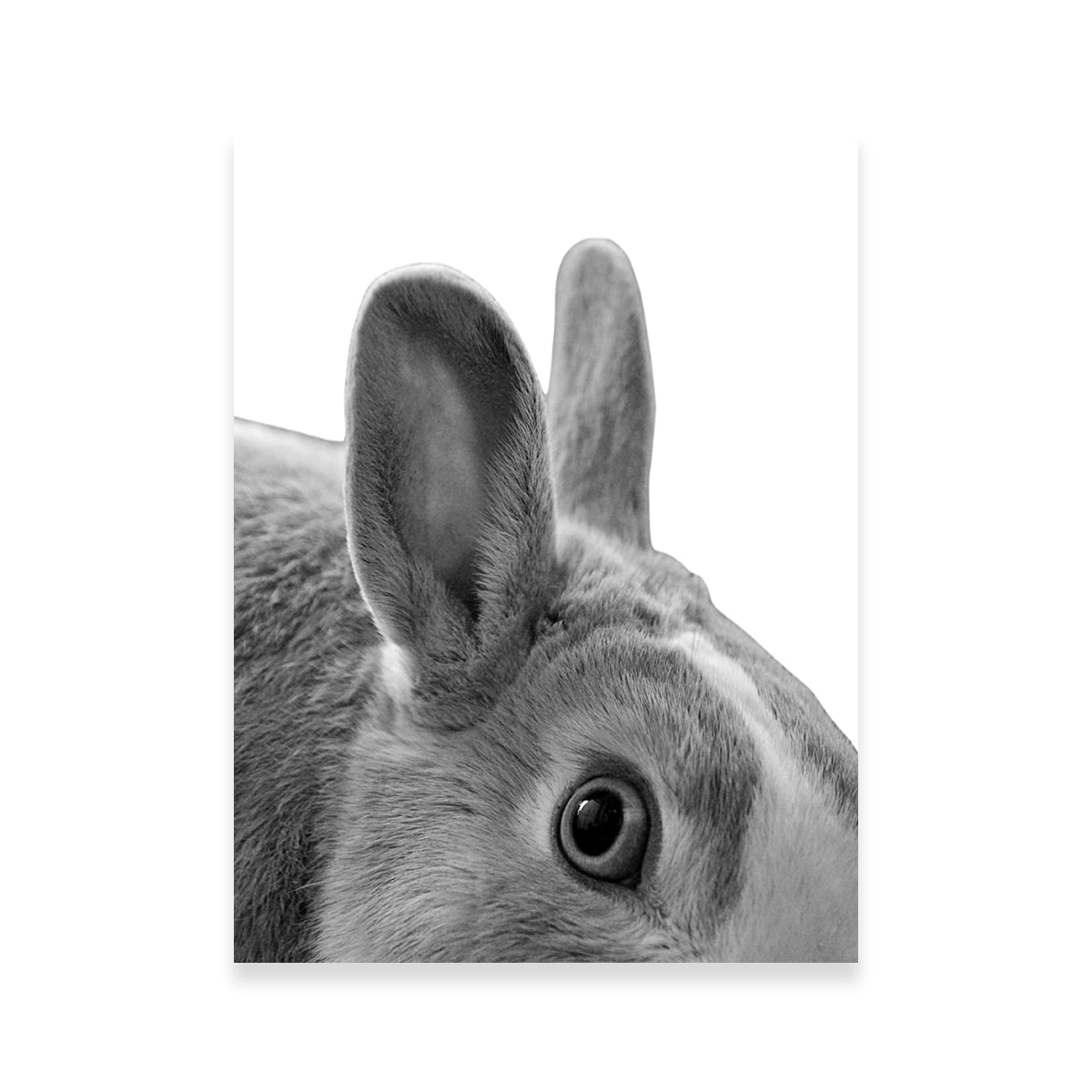 Exquisite Rabbit Wall Art by Lawisi