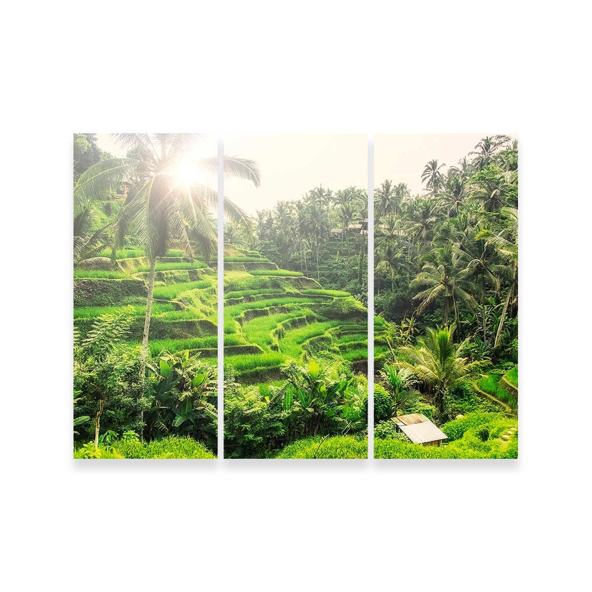 Tegallalang Wall Art - Premium Handmade Canvas with Sustainable Pine Wood Frames