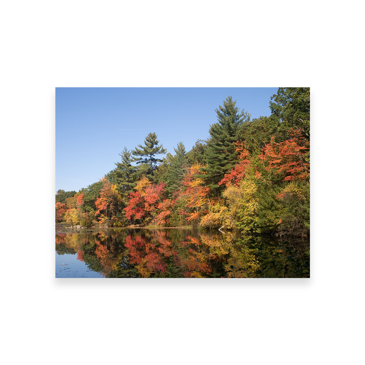 Stunning Harold Parker State Park Wall Art for Home Decor