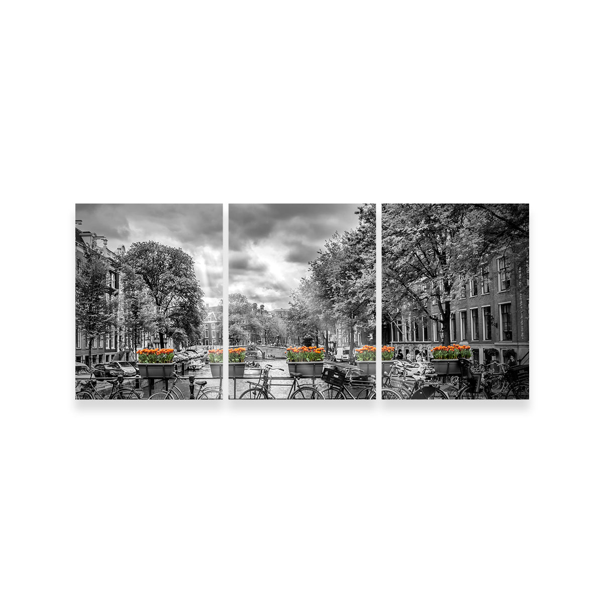 Exquisite Amsterdam Wall Art by Melanie Viola