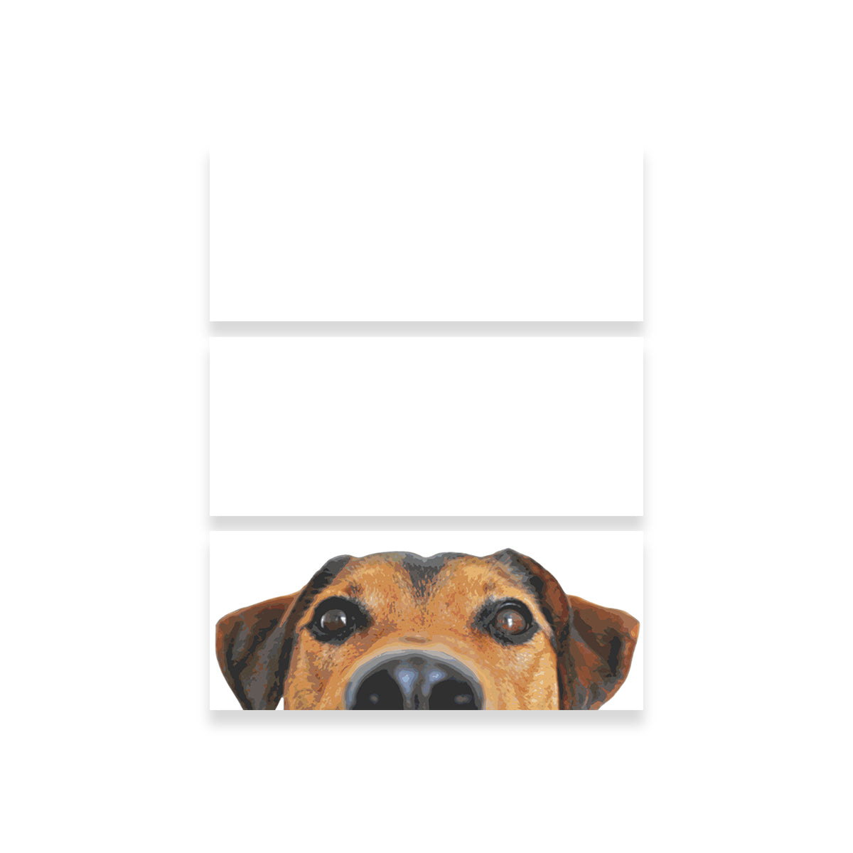 Adorable Funny Dog Face Wall Art by Lawisi