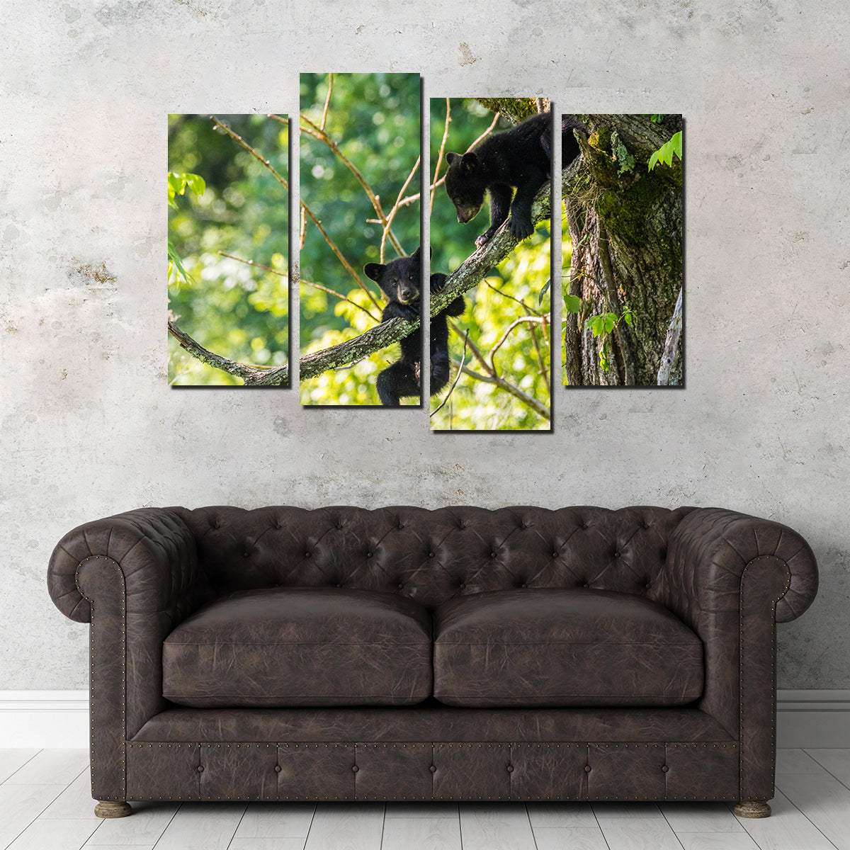 Adorable Black Bear Cubs Playing Wall Art - Perfect for Home Decor