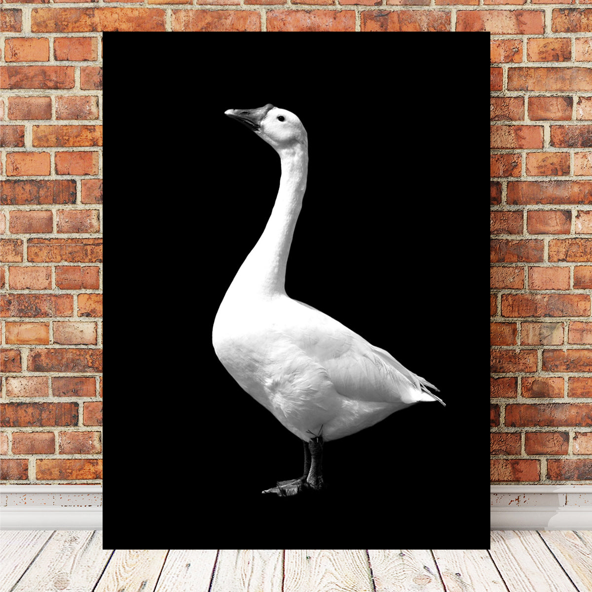 Stunning Goose Wall Art by Lawisi