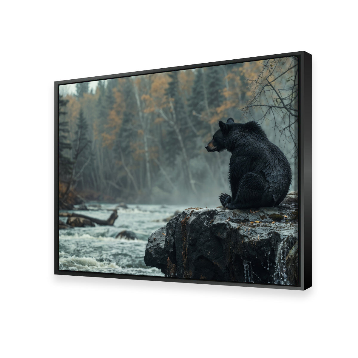 Stunning Black Bear River Wall Art for Home Decor