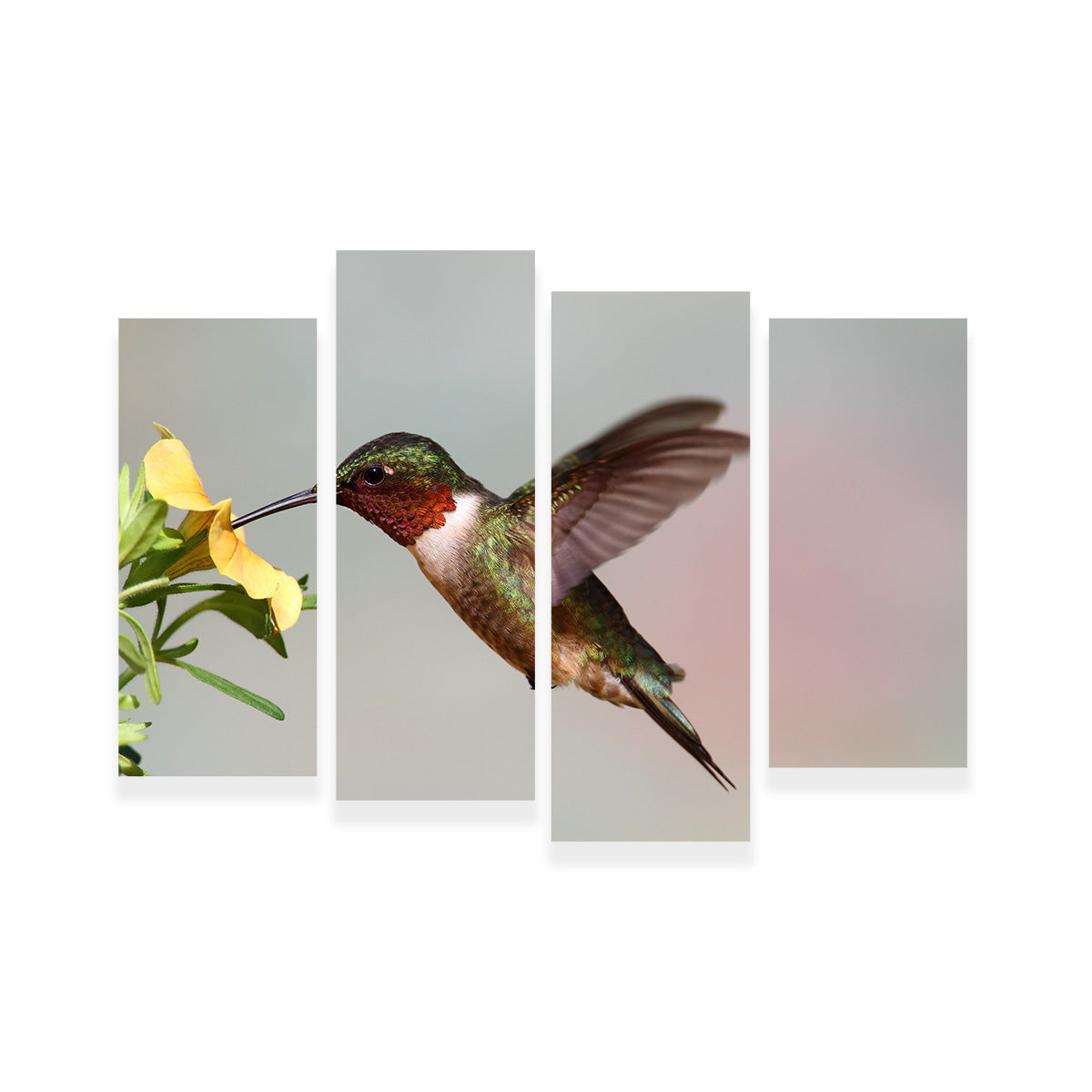 Exquisite Ruby Throated Hummingbird Wall Art for Stunning Decor