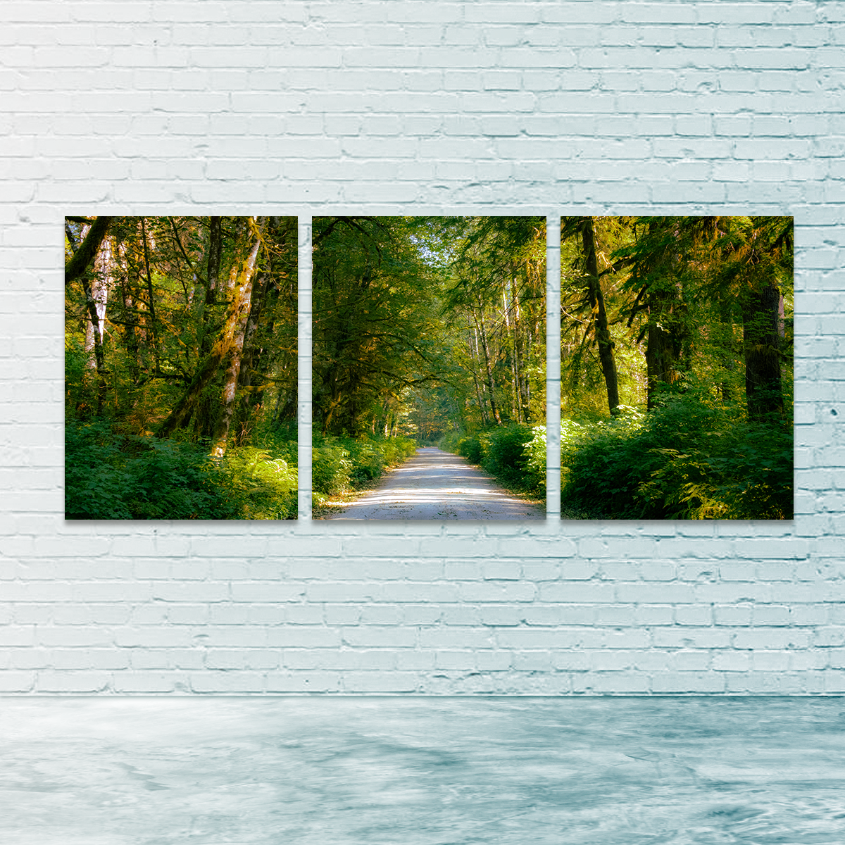 Exquisite Rainforest Road Wall Art by Kyle Sherry