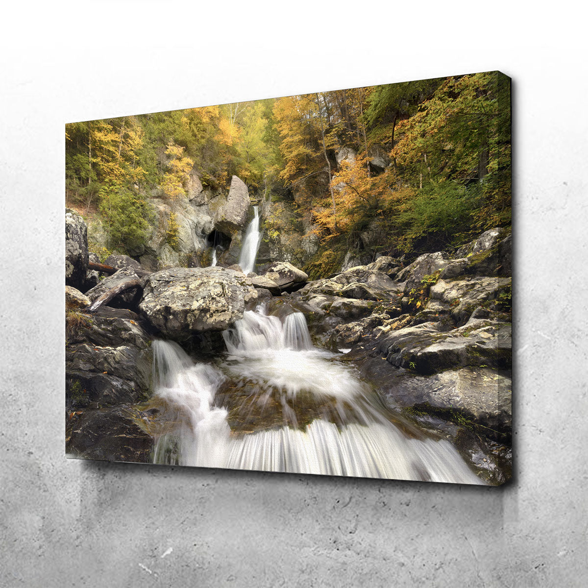 Stunning Down Stream Wall Art by Shaun Mayer
