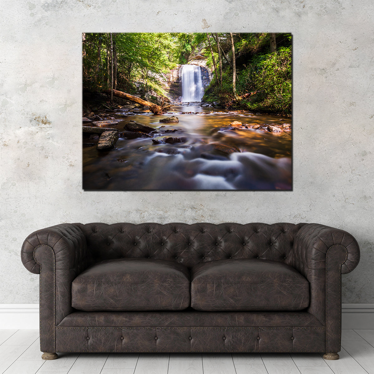 Looking Glass Falls, North Carolina Stunning Wall Art by Barry Pack