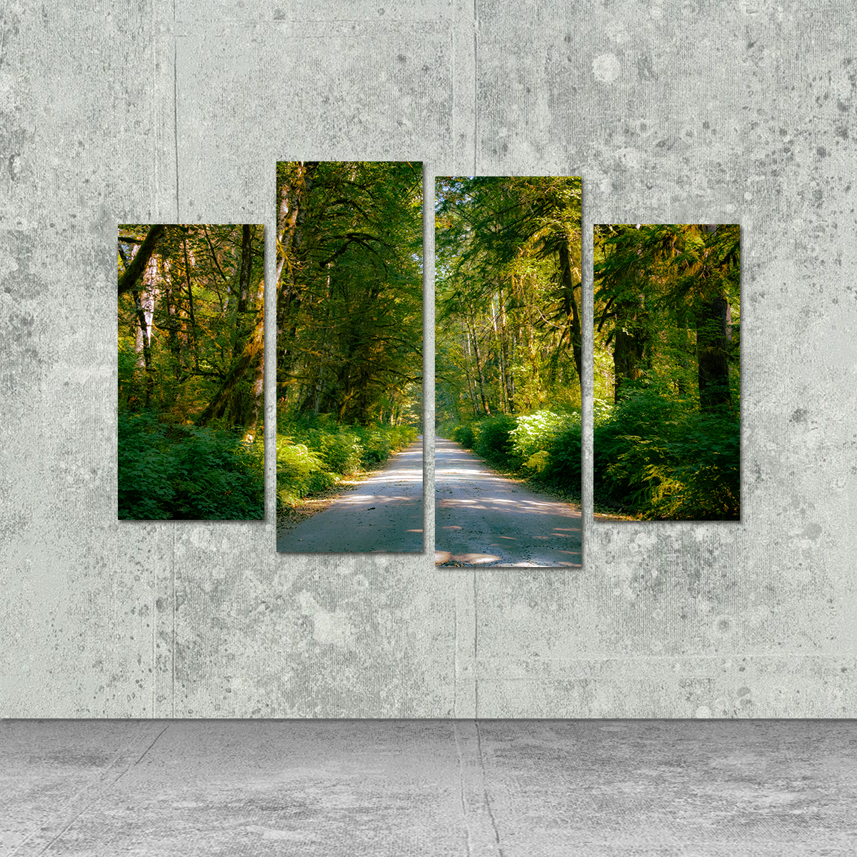 Exquisite Rainforest Road Wall Art by Kyle Sherry