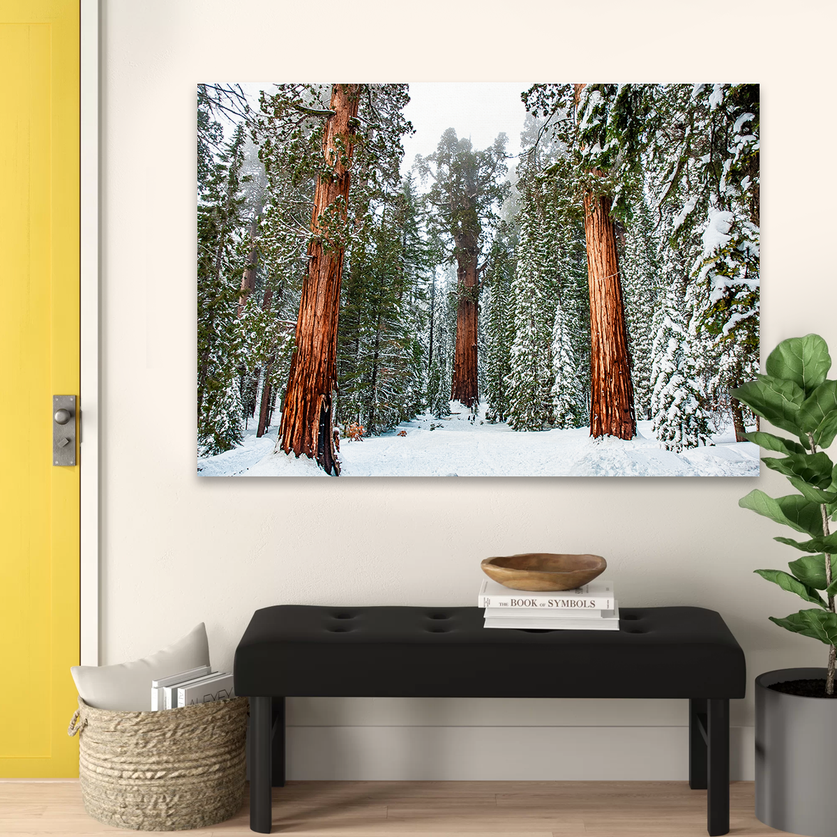 Kyle Sherry's Exquisite General Wall Art
