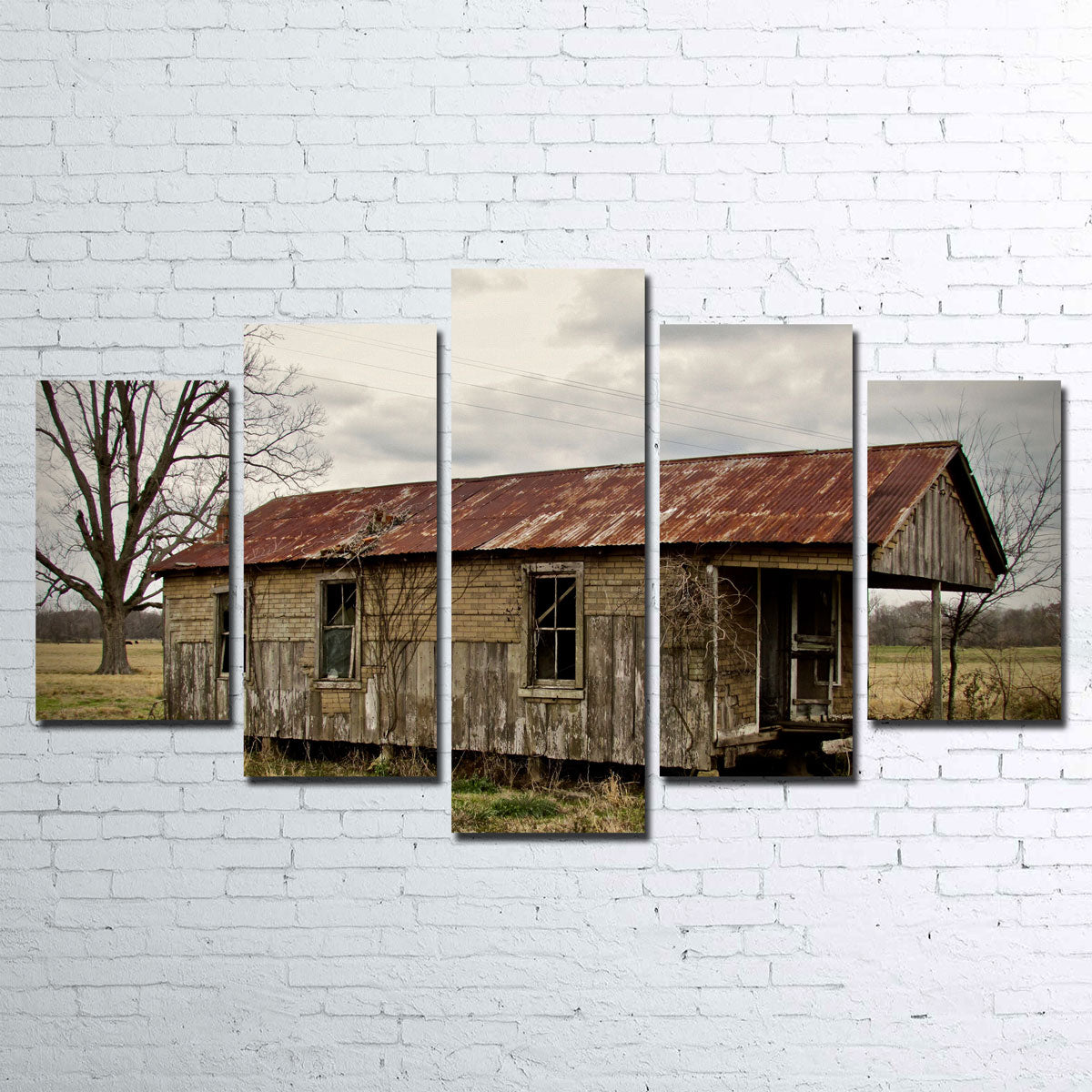 Louisiana Abandoned Cabin Wall Art by David Campbell - Museum Quality Canvas