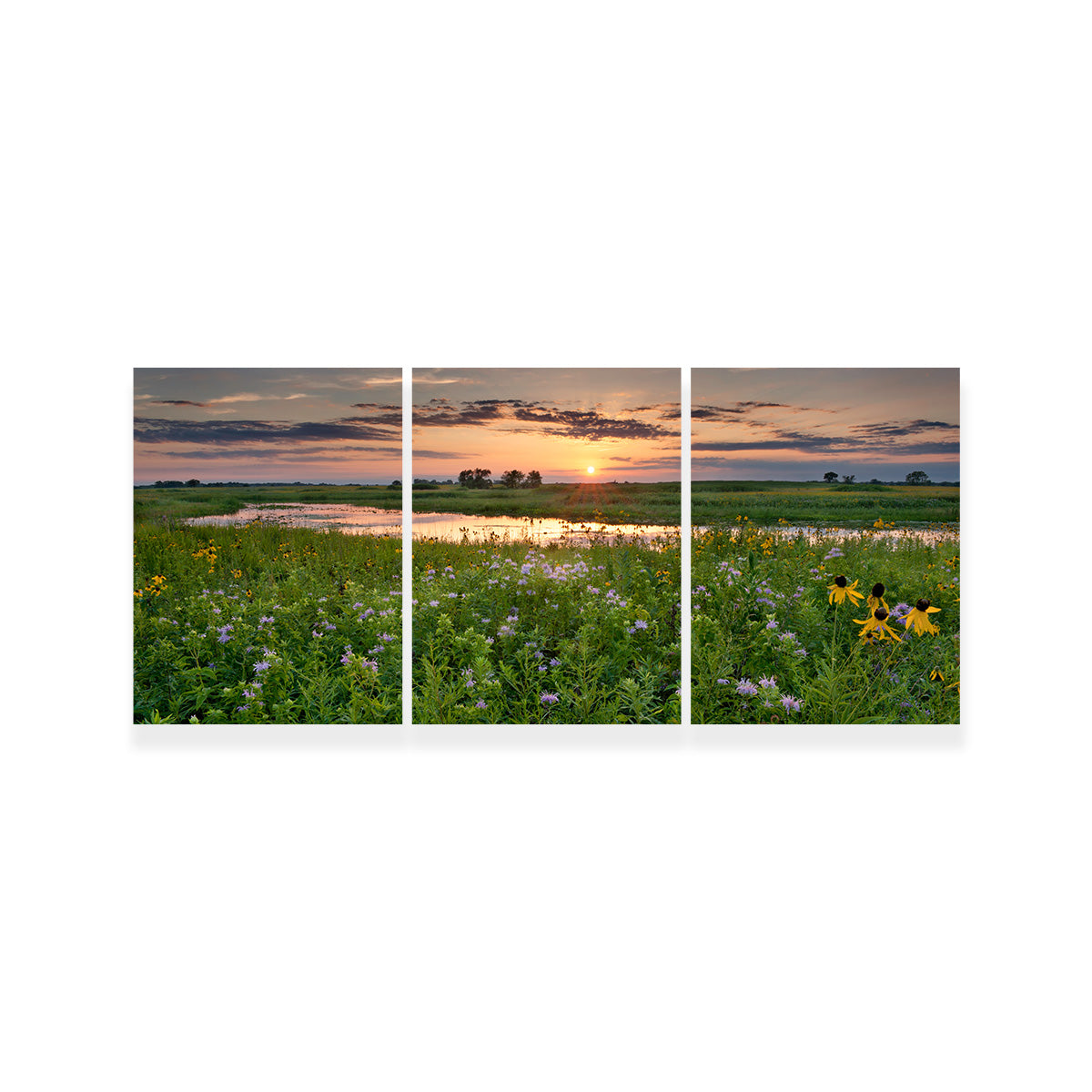 Stunning Open Field in Illinois Wall Art for Your Home Decor