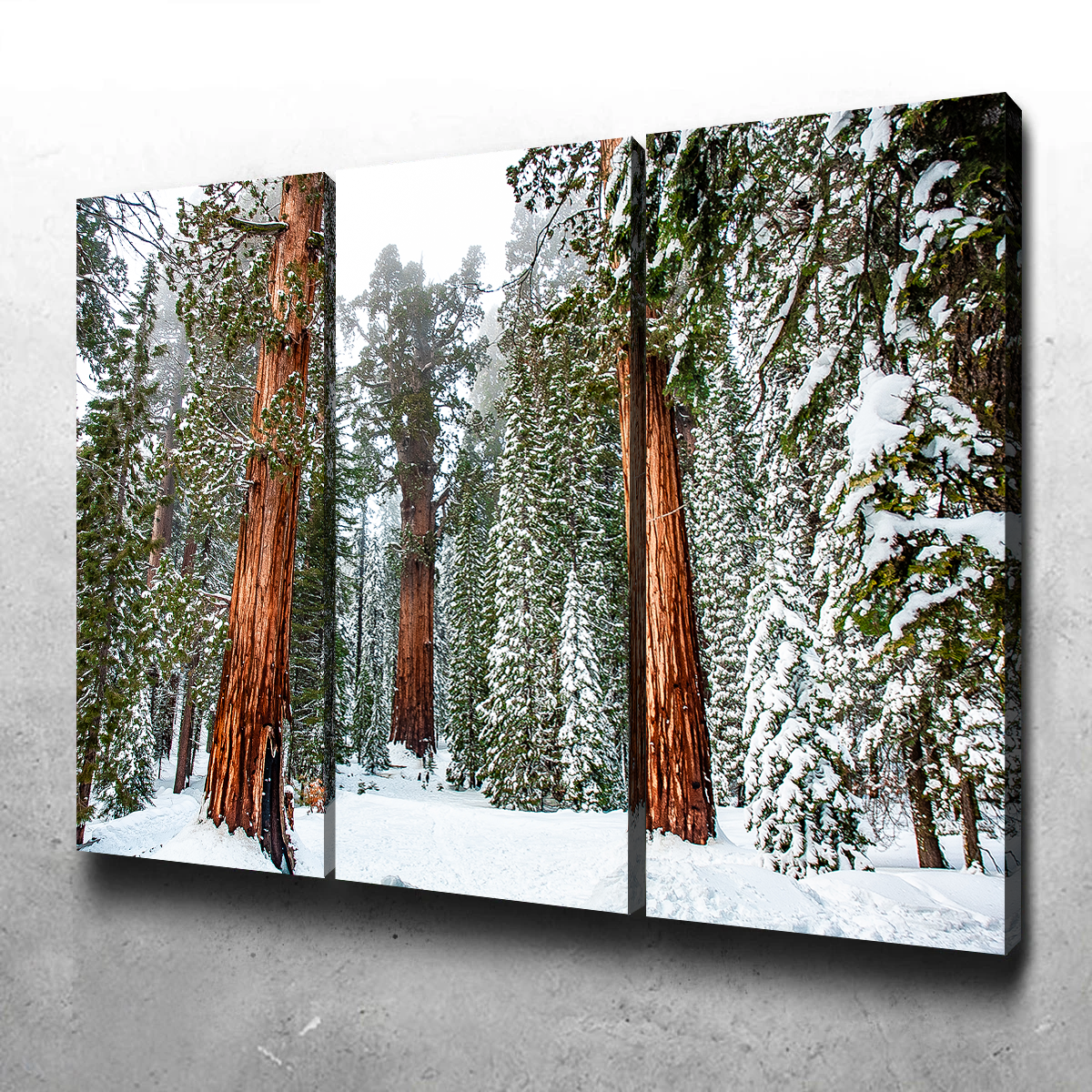 Kyle Sherry's Exquisite General Wall Art