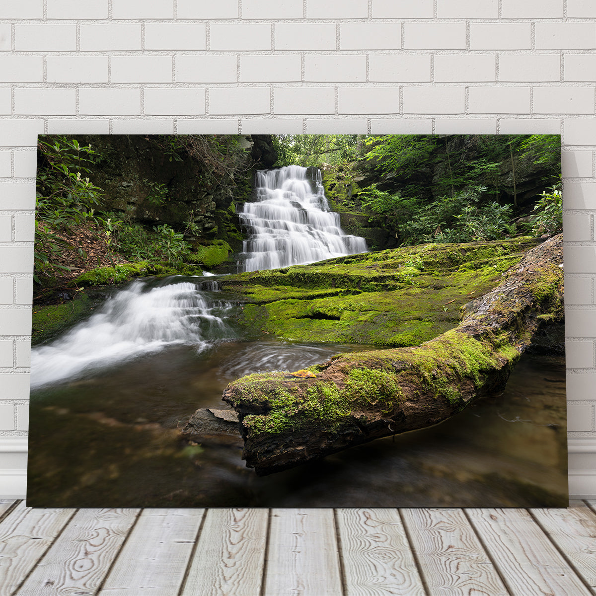 Stunning Rattlesnake Falls Wall Art by Shaun Mayer