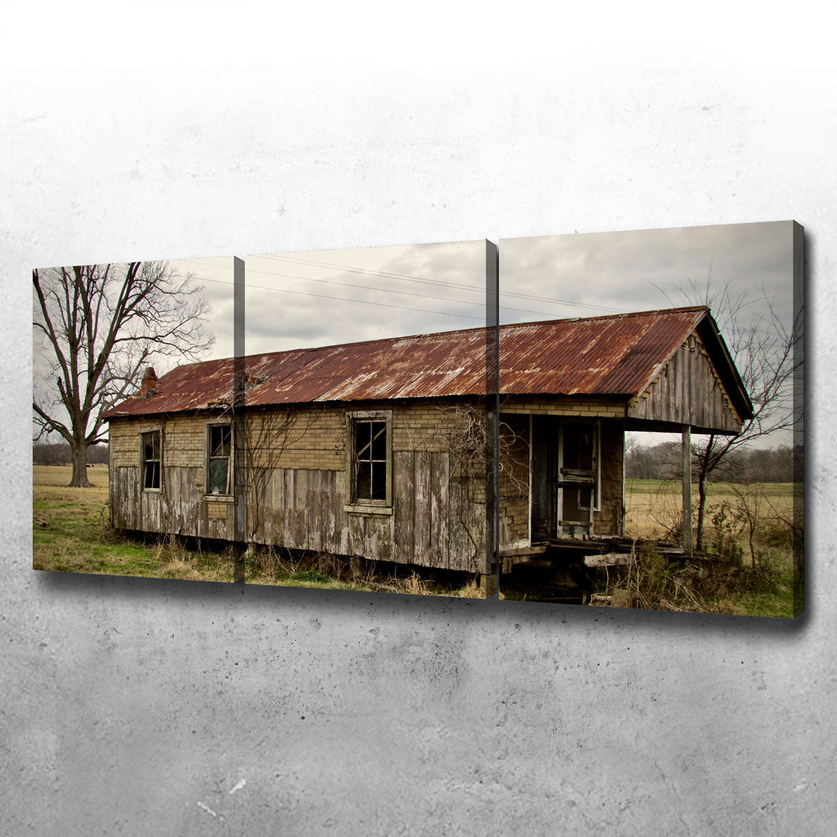 Louisiana Abandoned Cabin Wall Art by David Campbell - Museum Quality Canvas