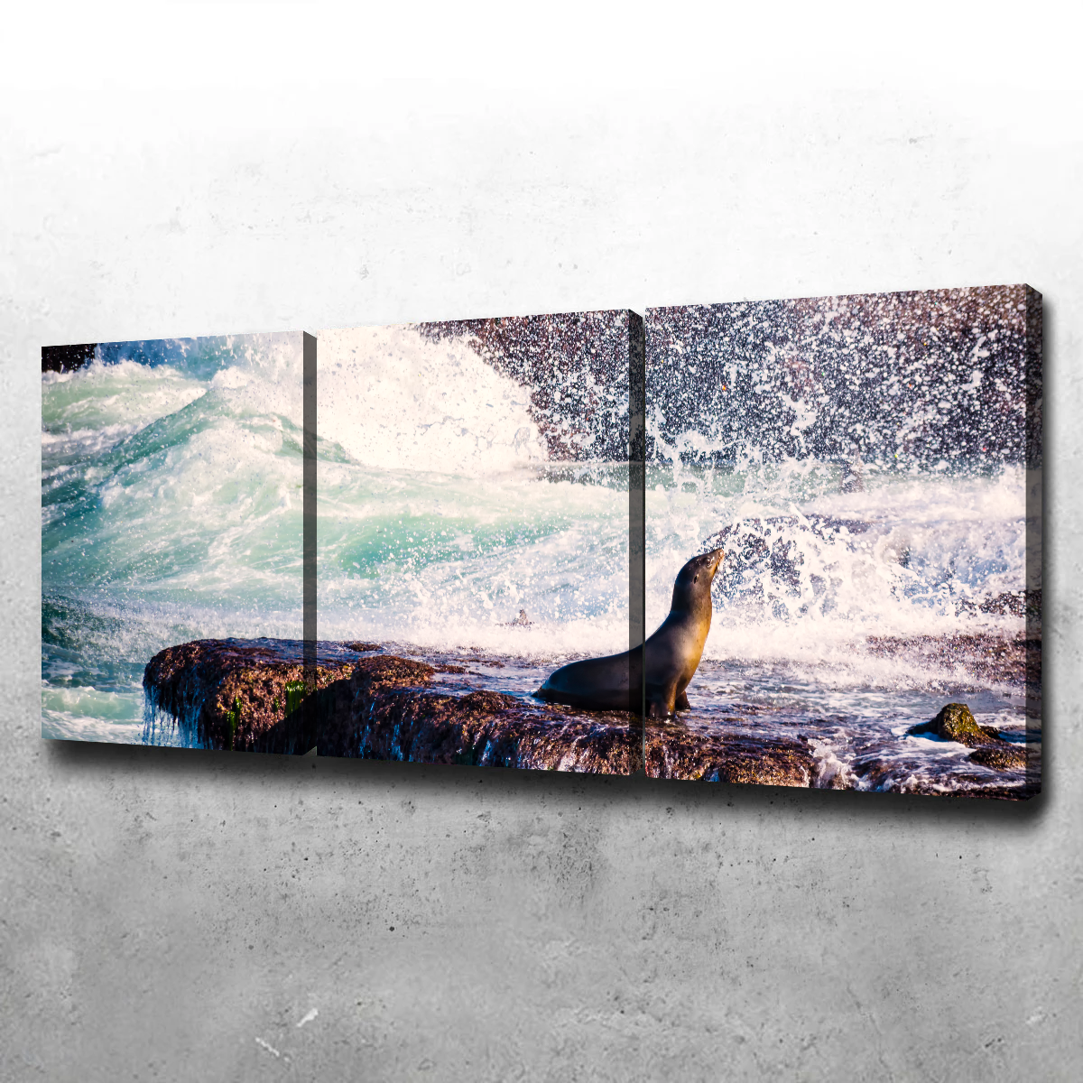 Stunning Sea Lion Surf La Jolla Wall Art for Coastal Home Decor