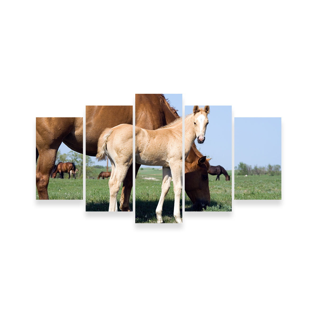 Exquisite Palomino Quarter Horse Foal and Mare Wall Art for Your Home Decor