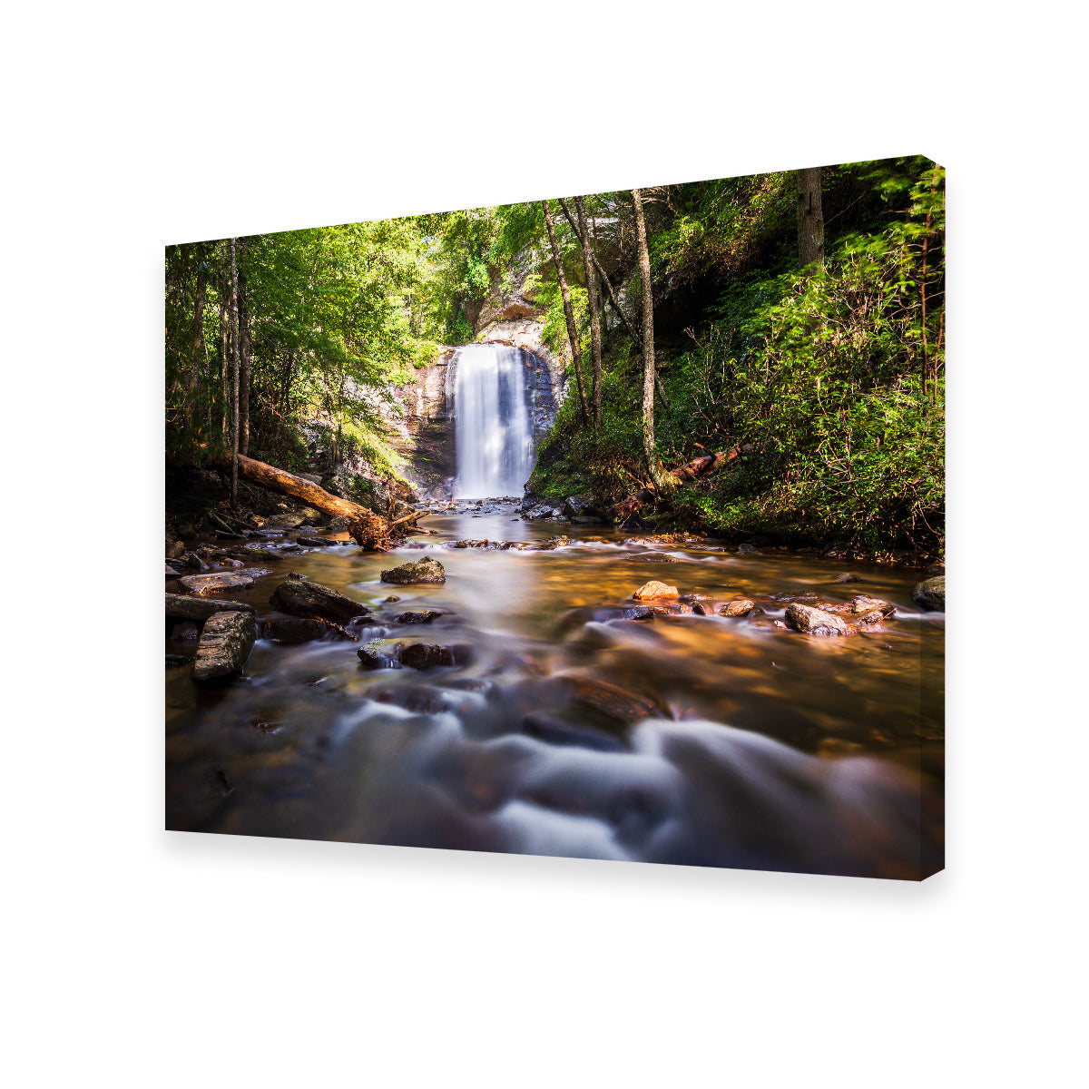 Looking Glass Falls, North Carolina Stunning Wall Art by Barry Pack