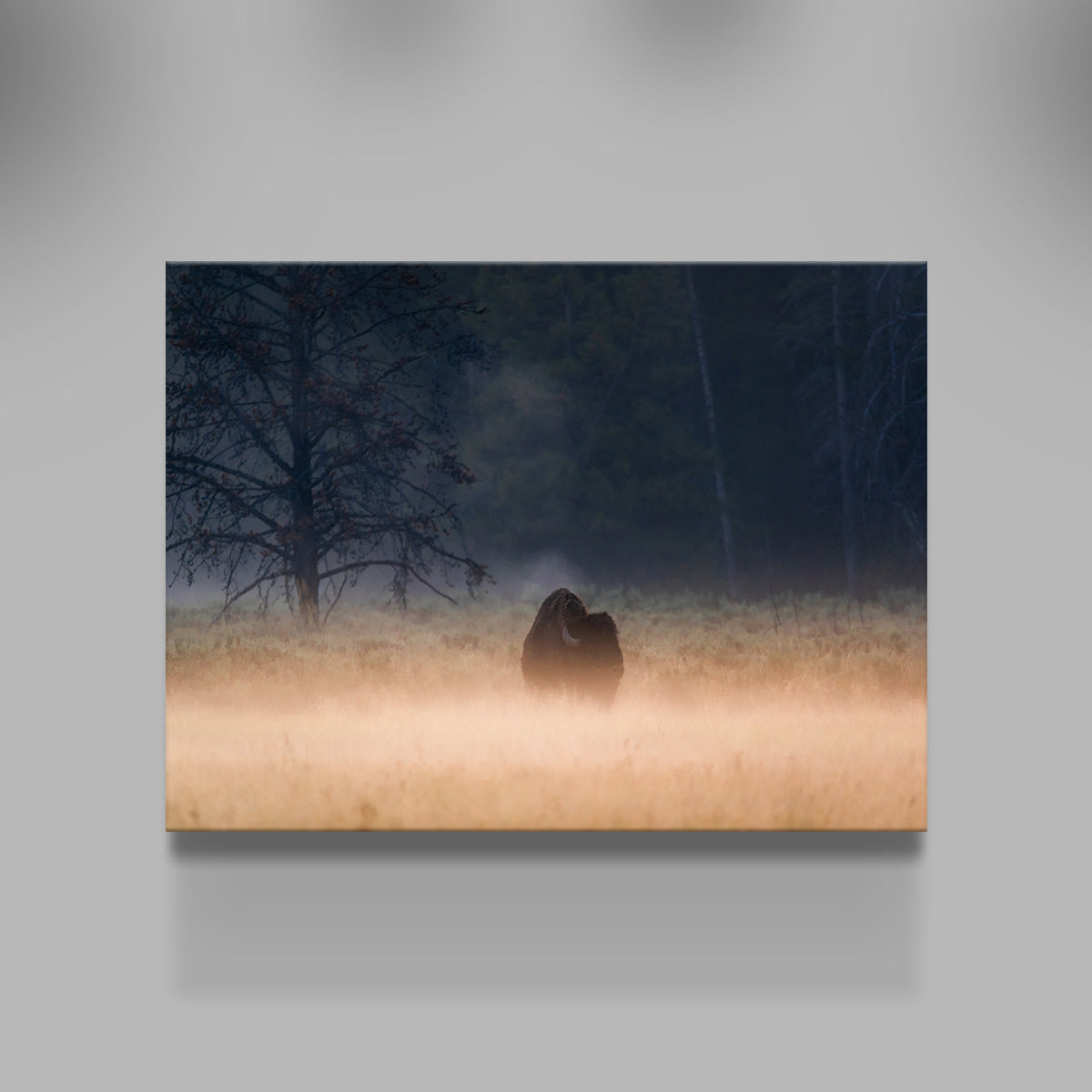 Enchanting Foggy Morning Wall Art by Lucas Moore