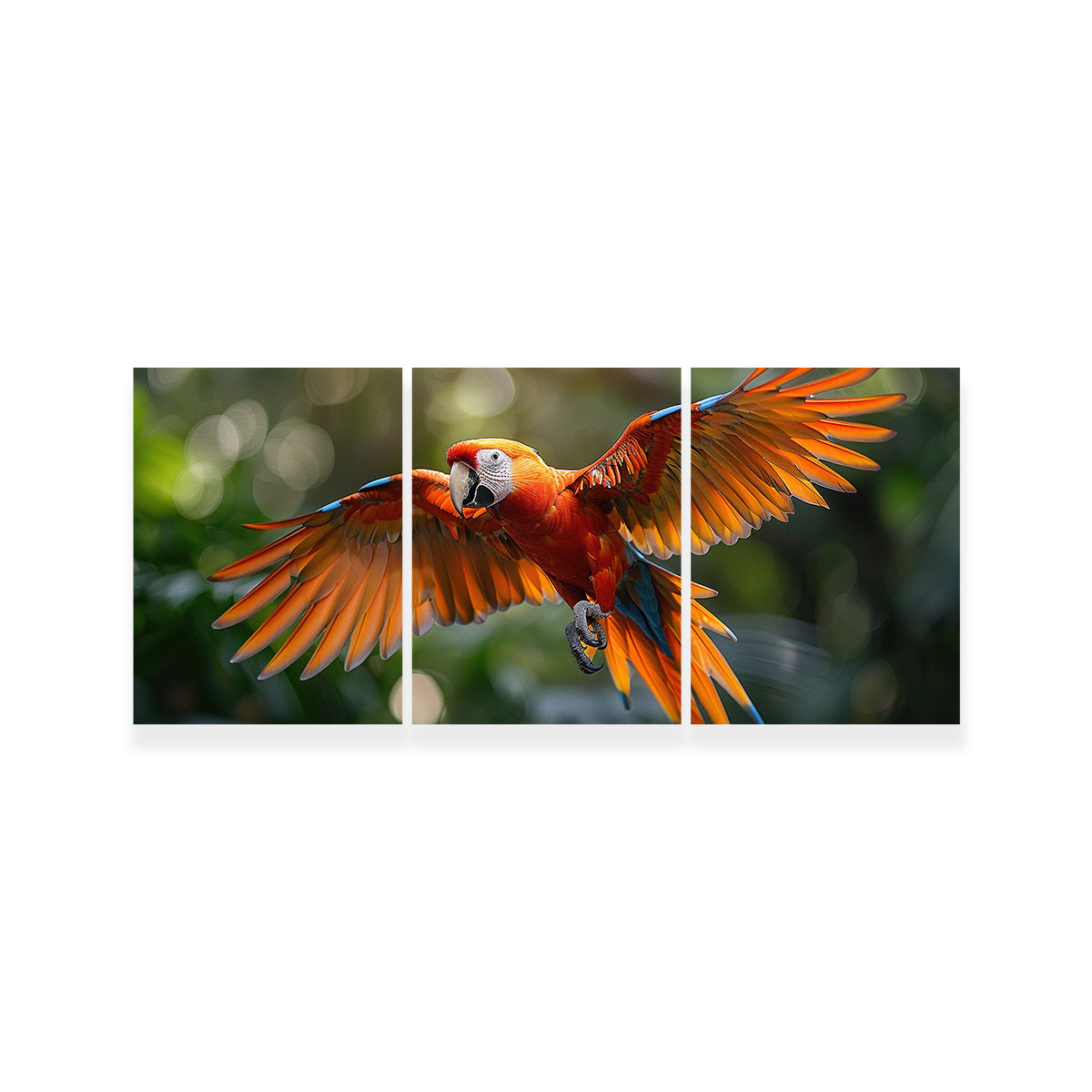 Stunning Scarlet Macaw in Flight Wall Art for Home Decor