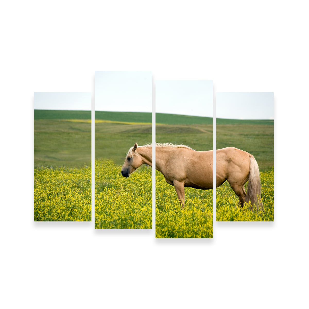 Stunning Palomino Quarter Horse Wall Art for Your Home Decor